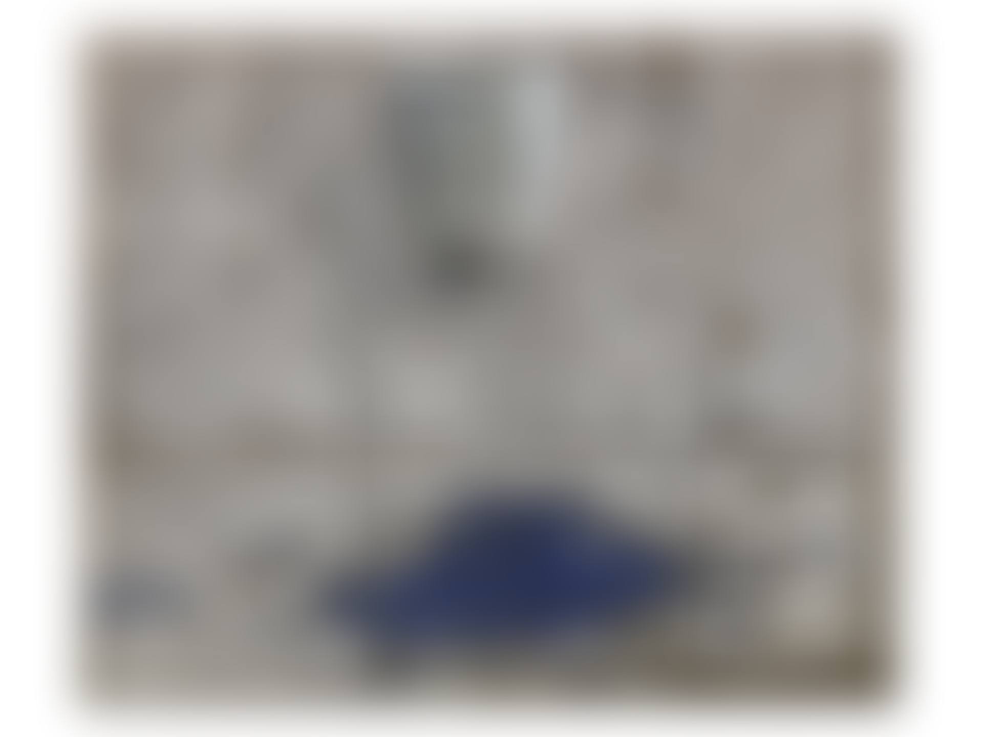 Pintura del Cubell (Painting with Laundry Bucket) (preview)
