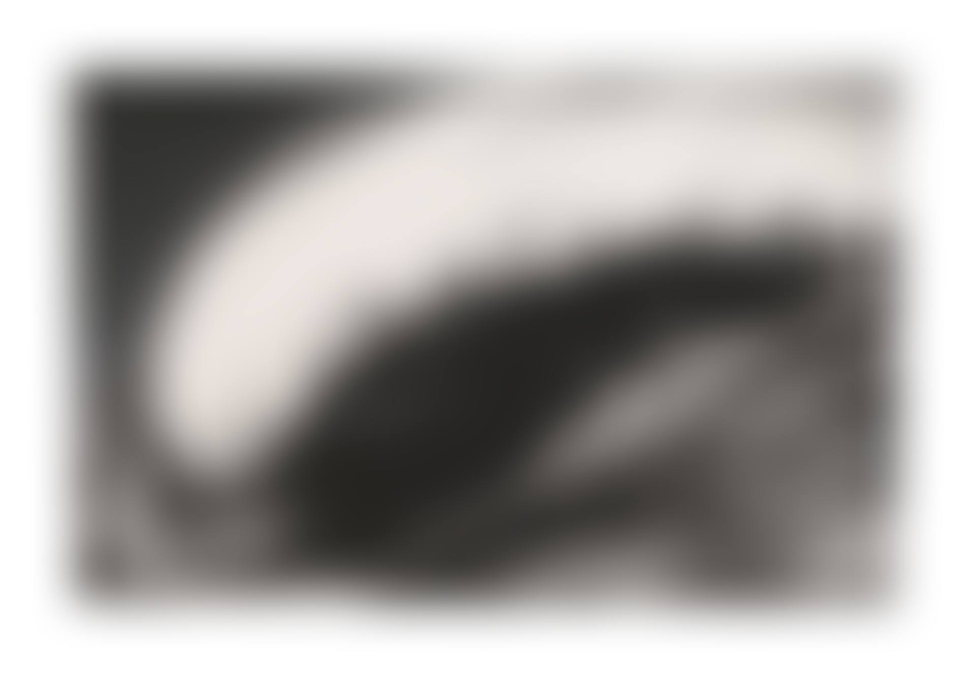 Untitled (Cohu) (preview)