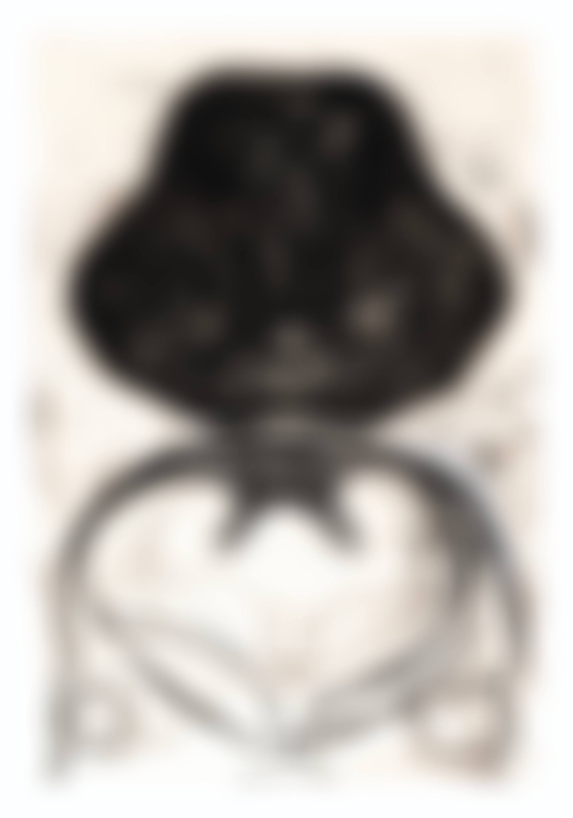 Section (preview)