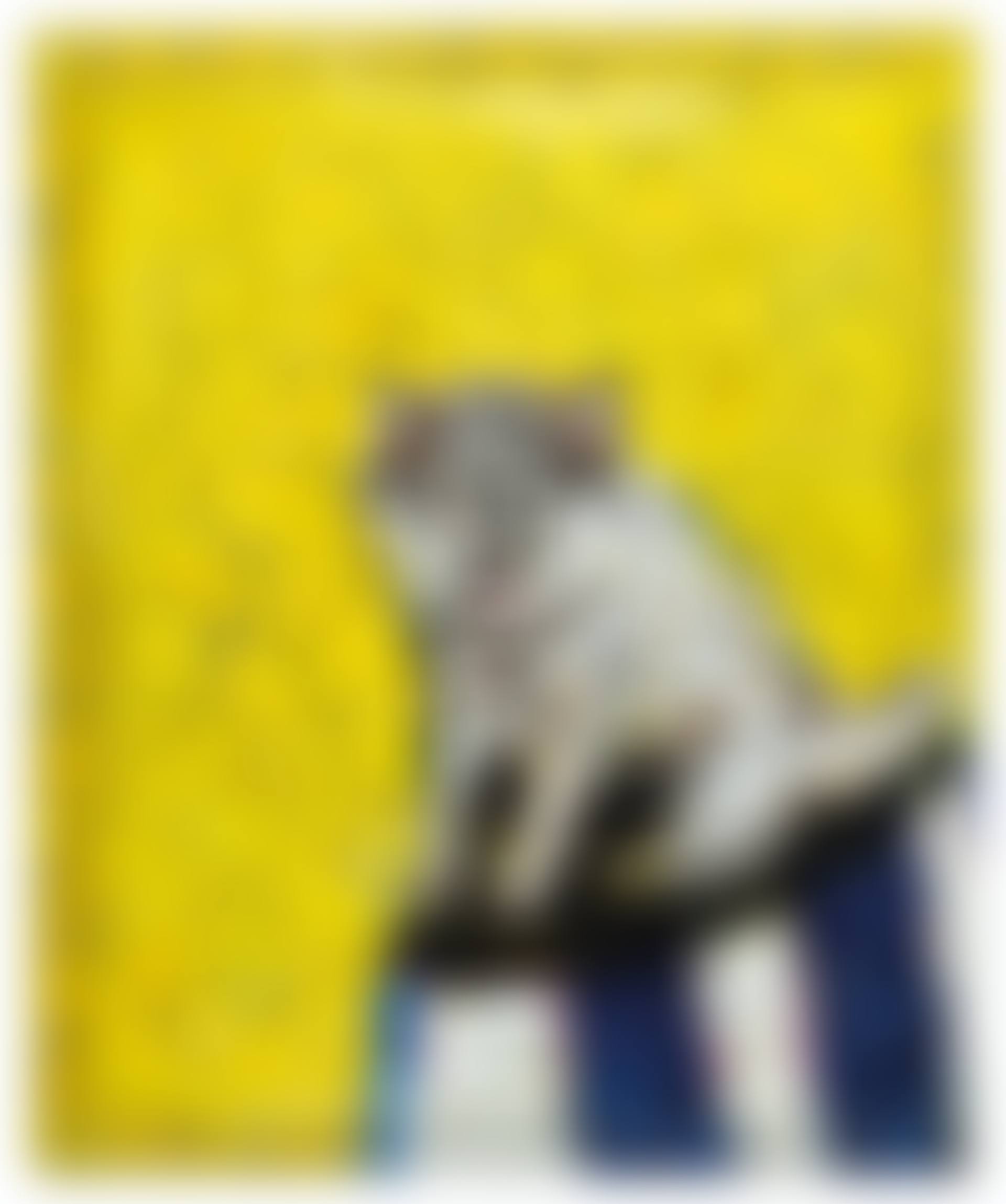 Untitled (Portrait of Kai) (preview)