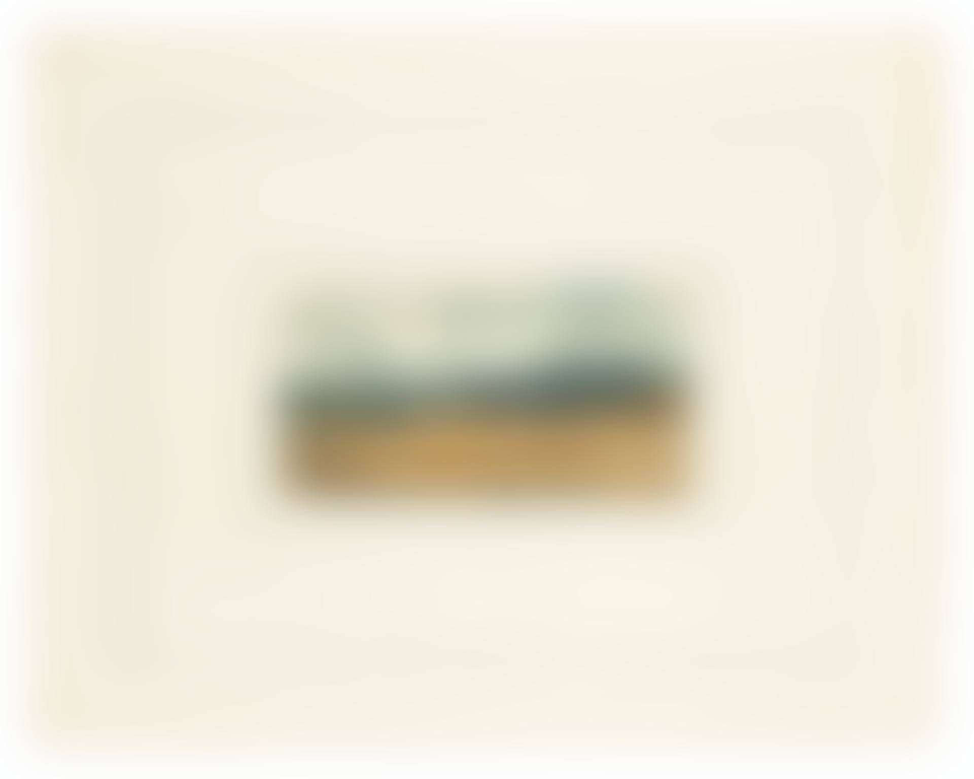 Plate E, from: Kanarische Landschaften I (preview)