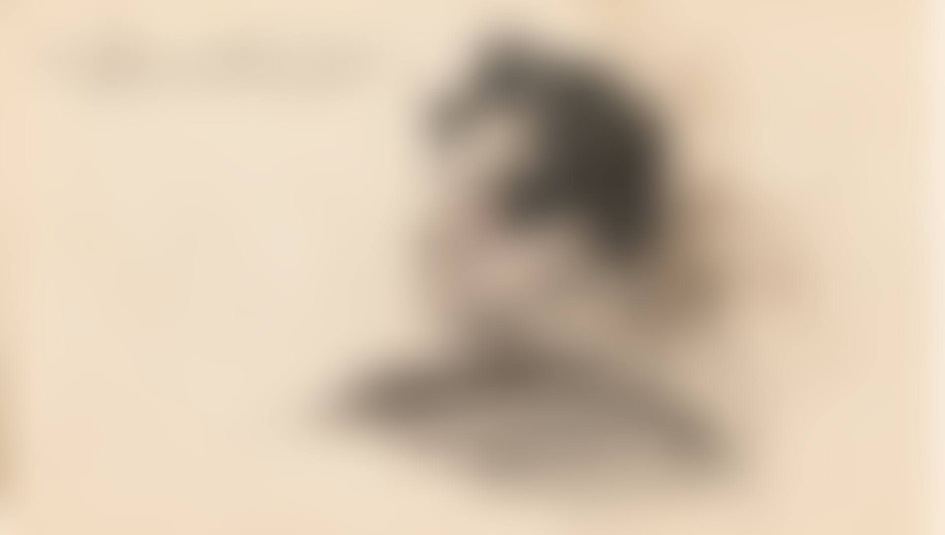 TÊTE D'HOMME, PROFIL (preview)