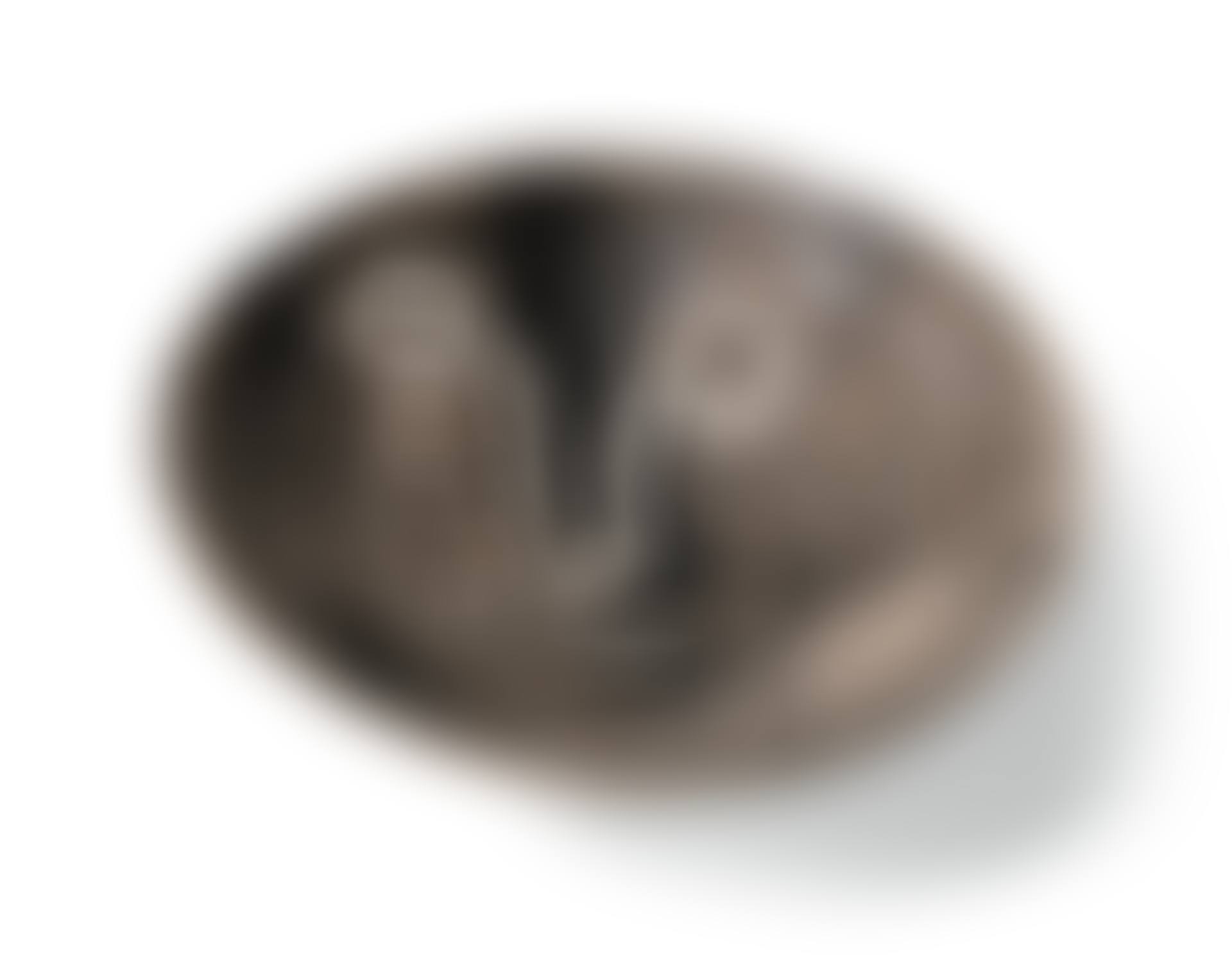 VISAGE (preview)
