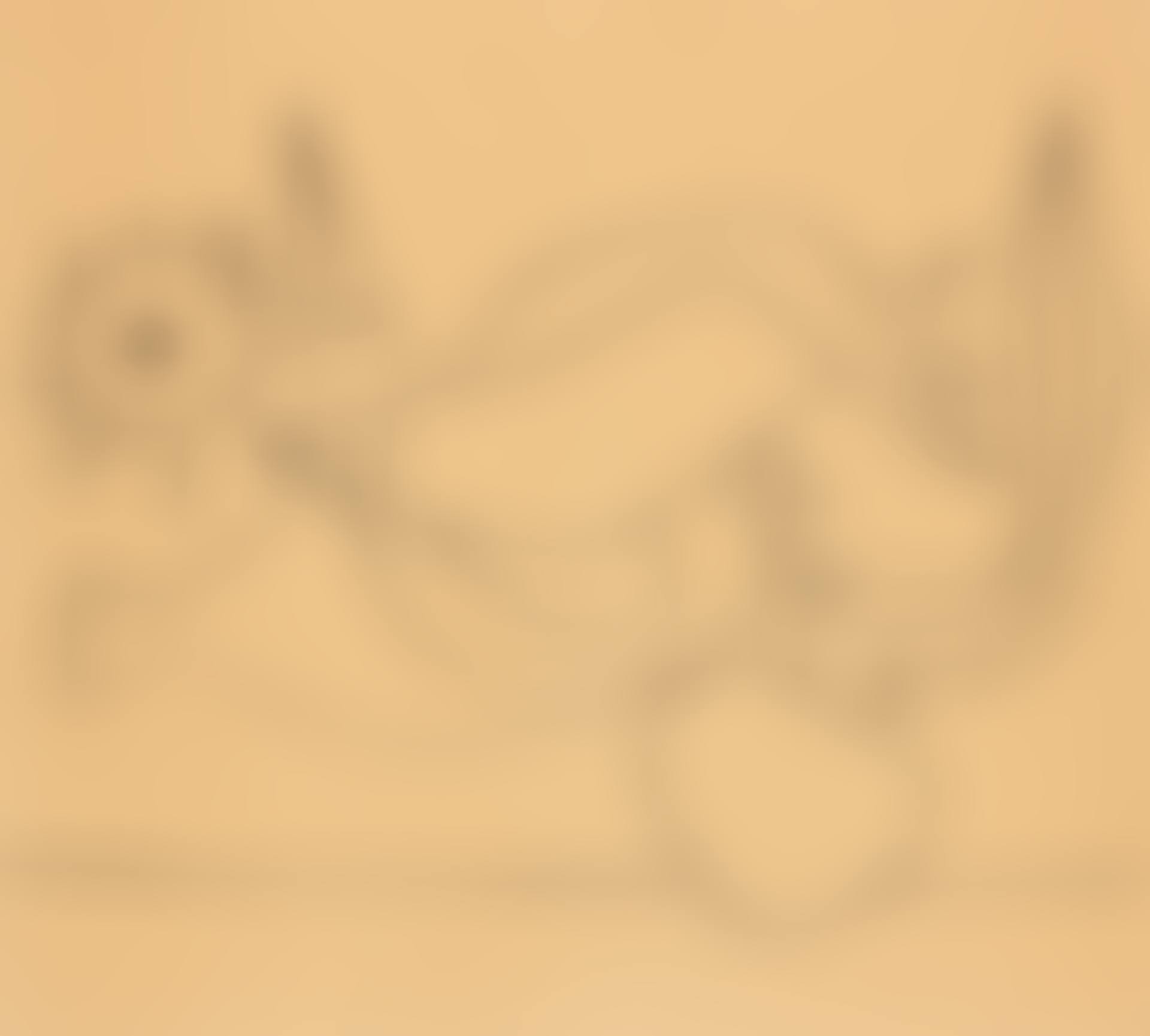 POISSONS (preview)