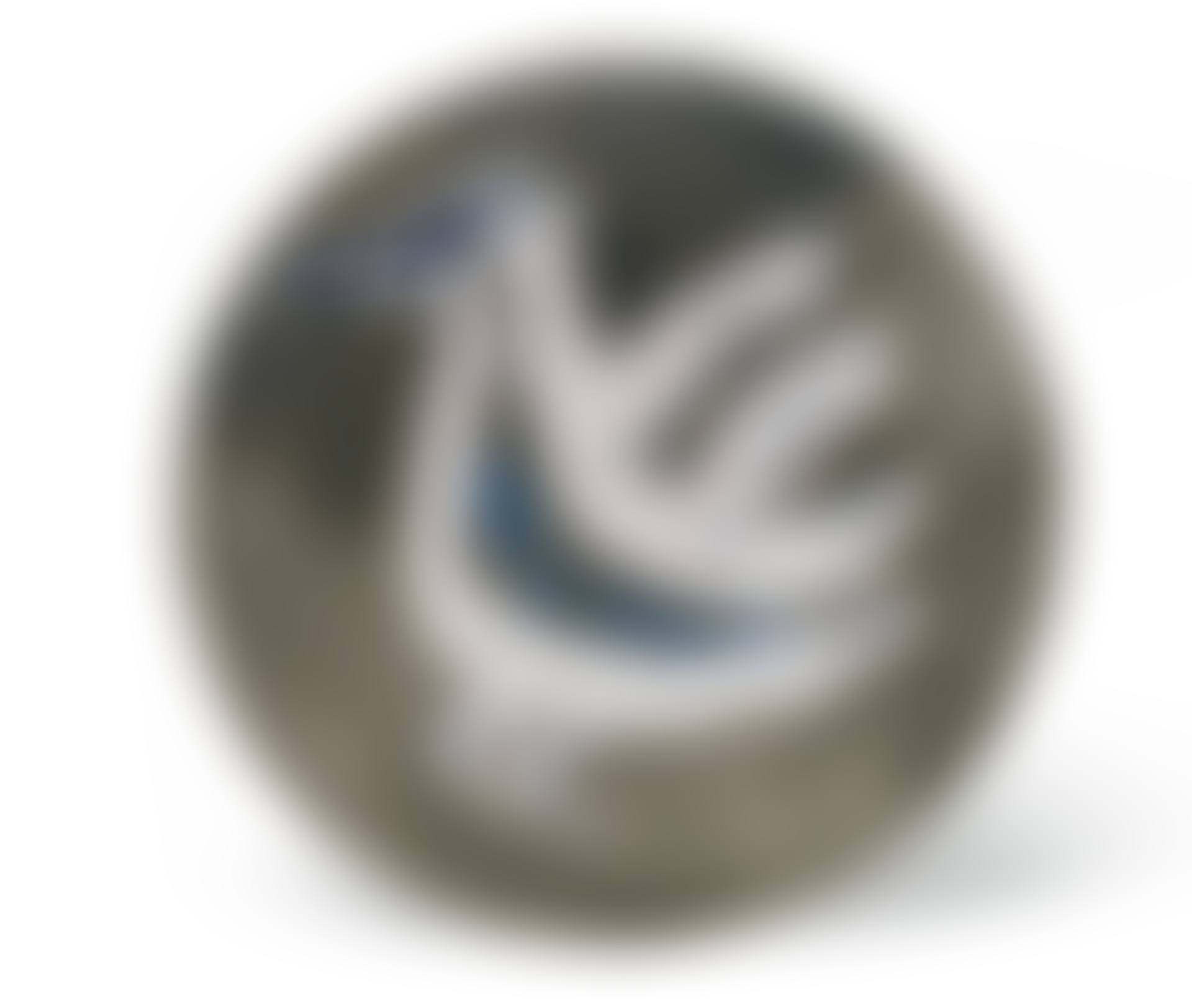 OISEAU (preview)