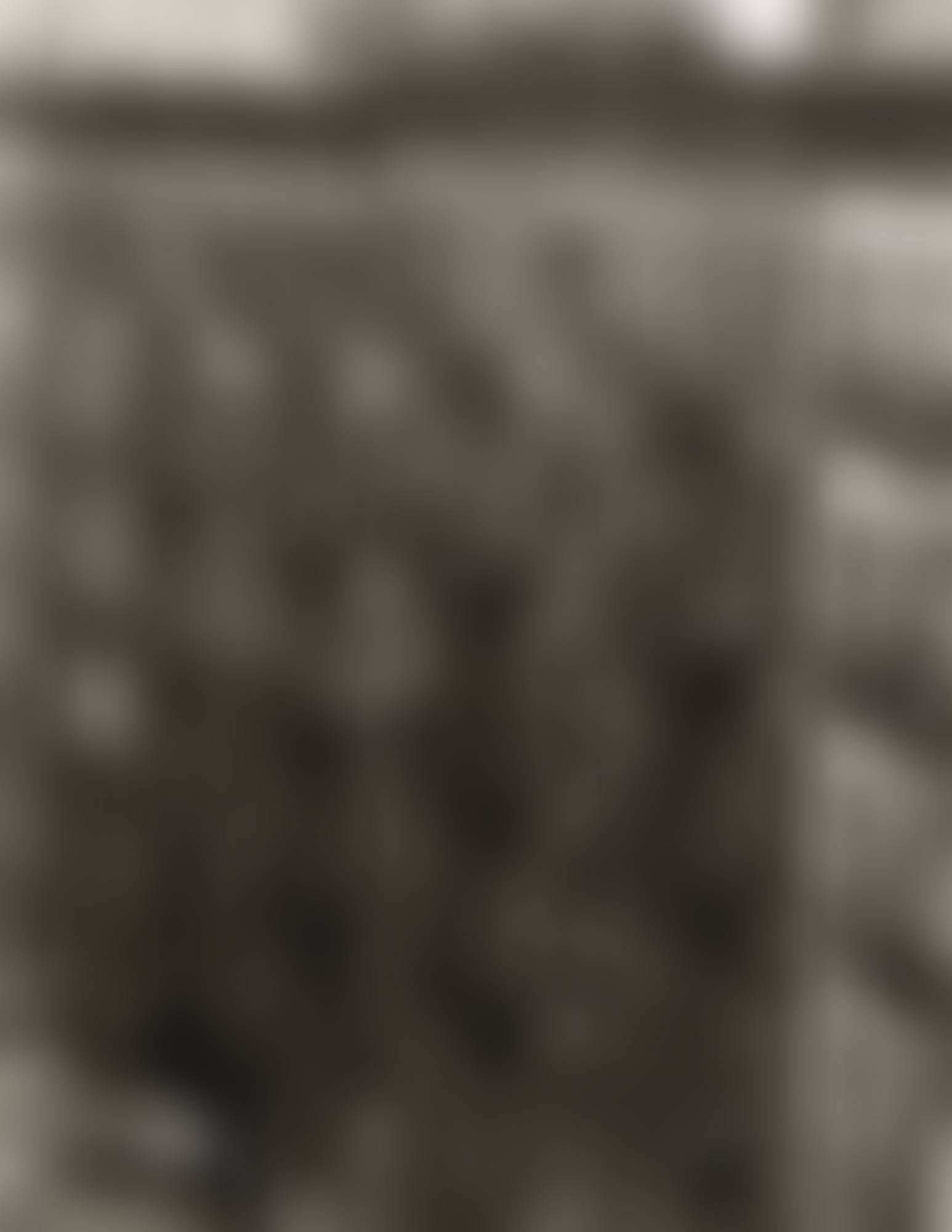 EAST 100TH STREET, NEW YORK<br/> (preview)