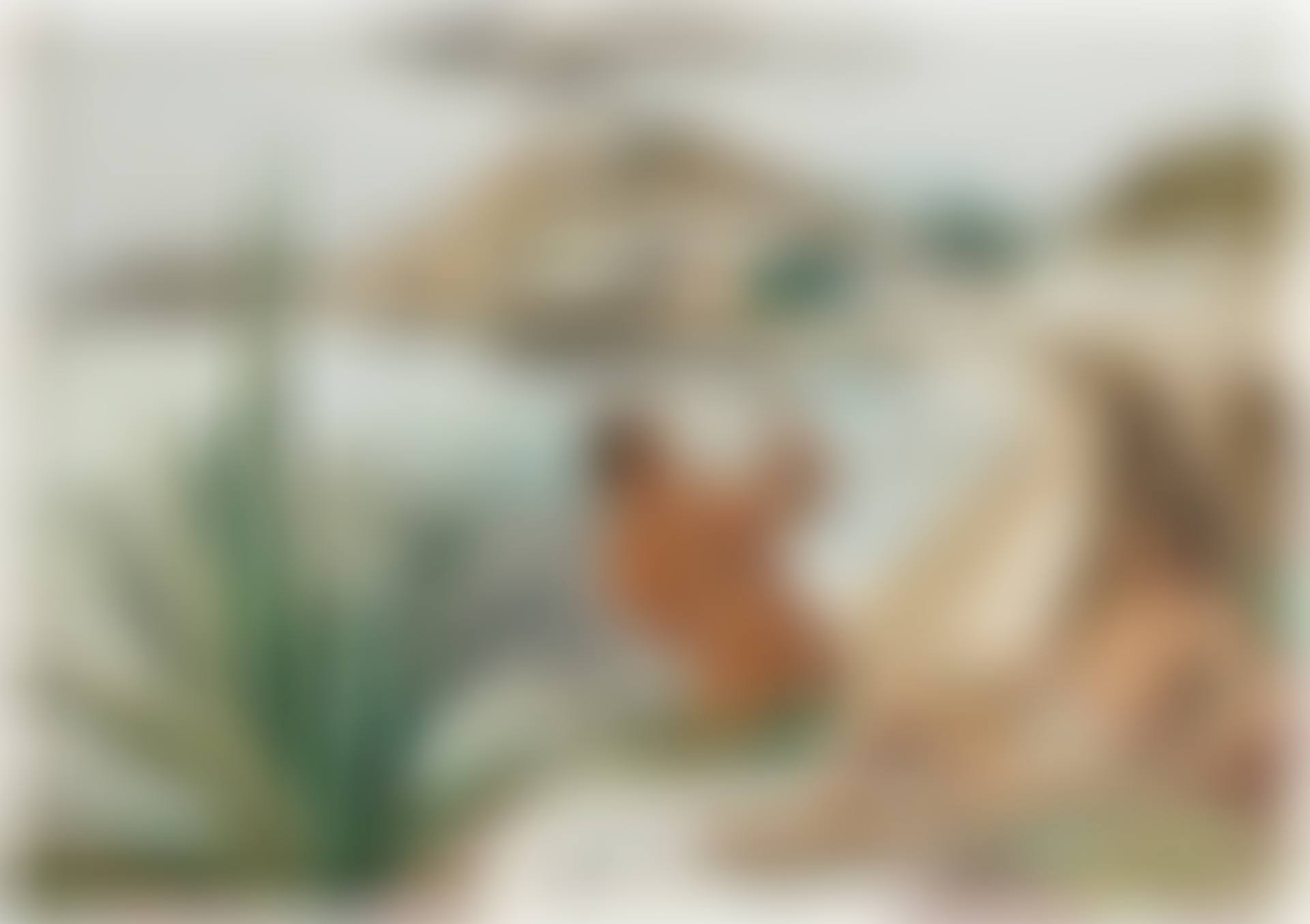 BOYS AND COASTAL SCENE (preview)