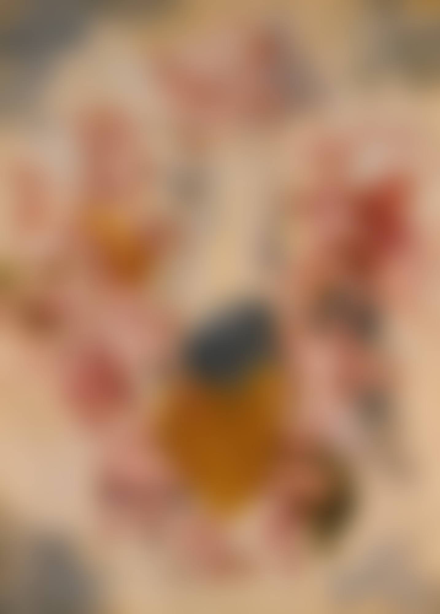 THE CHARIOT OF APOLLO (preview)