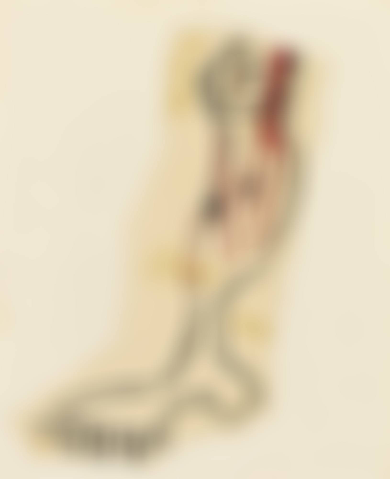 UNTITLED (preview)