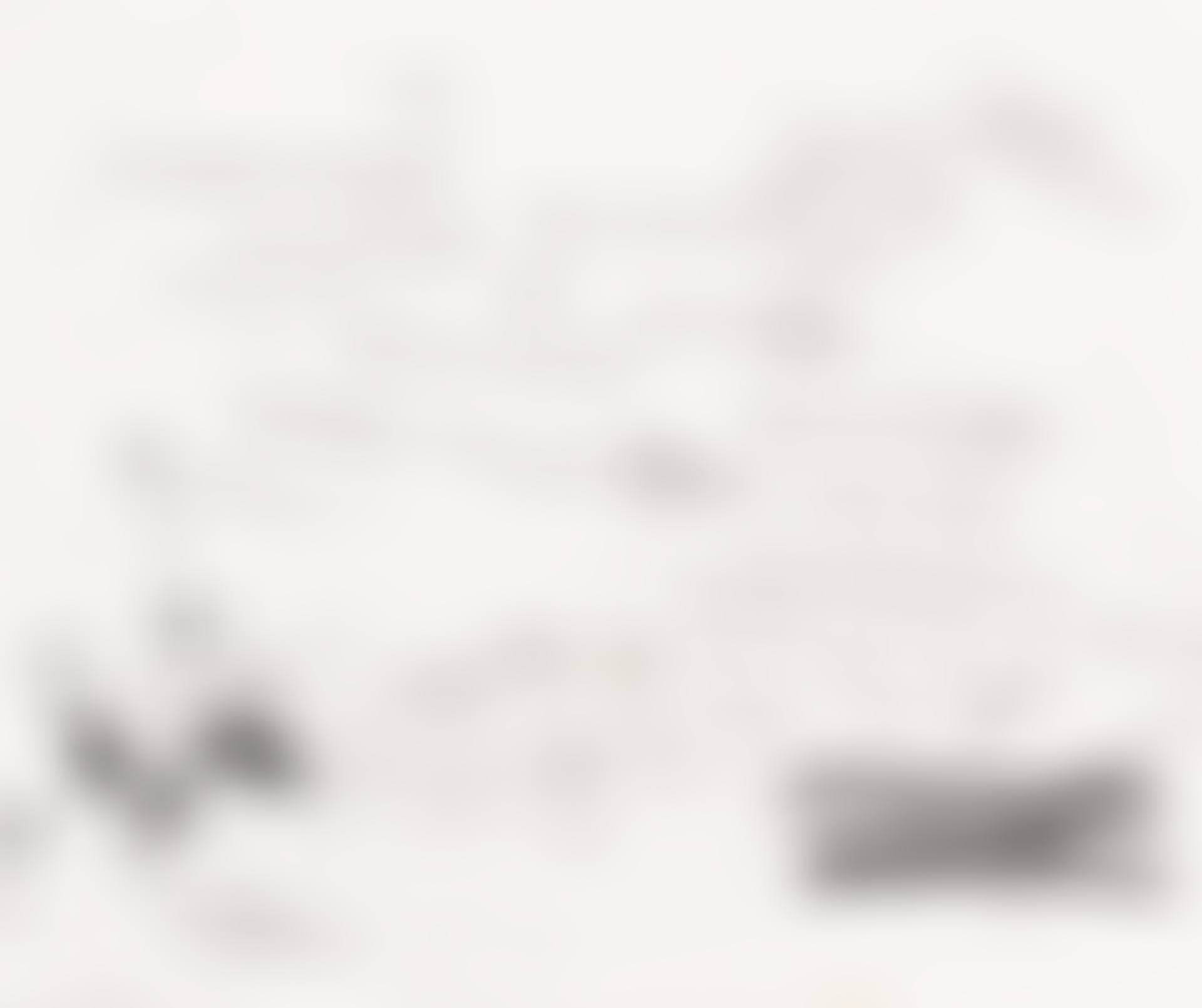 UNTITLED (SELF PORTRAIT IN WORDS) (preview)