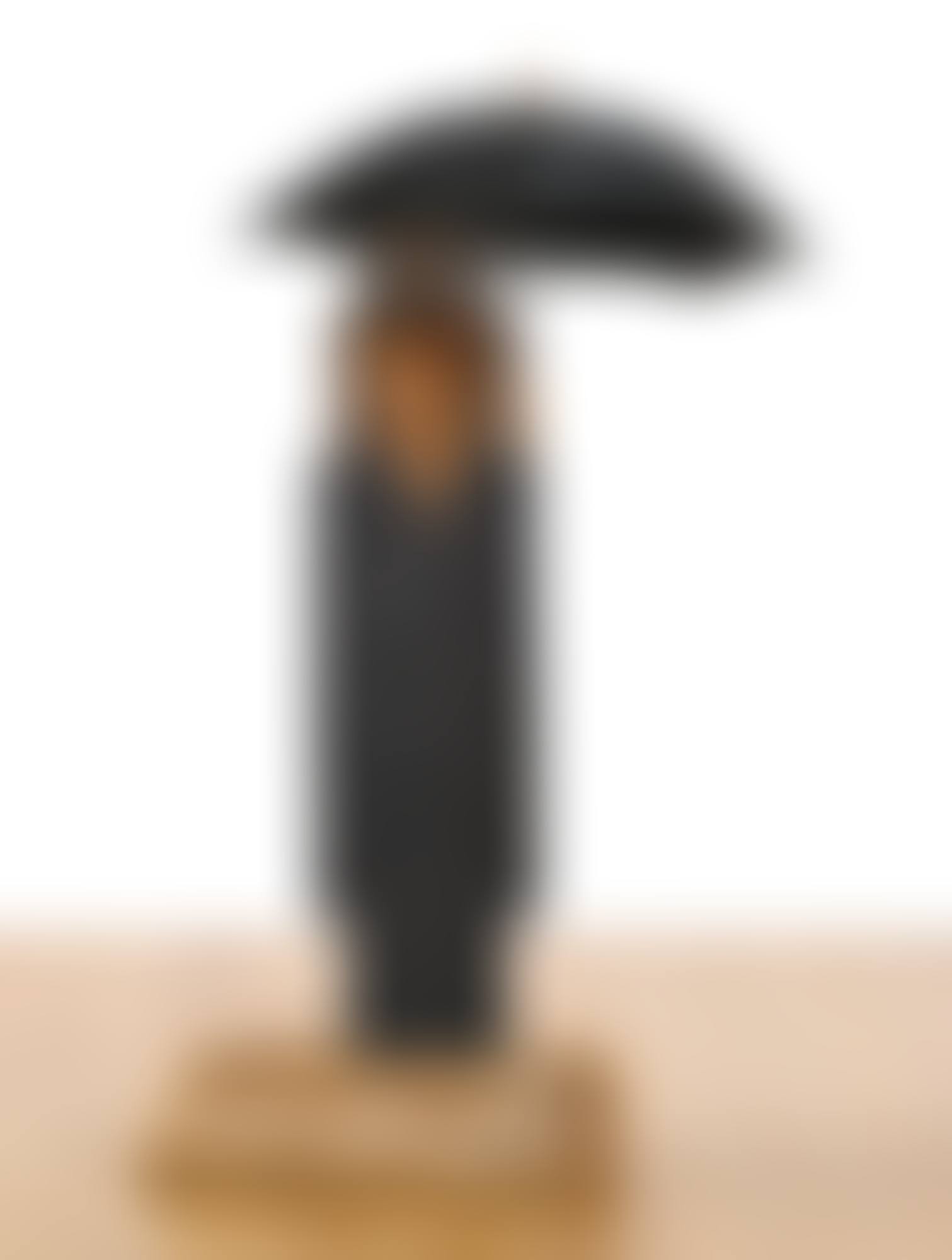 MAGRITTE II (preview)