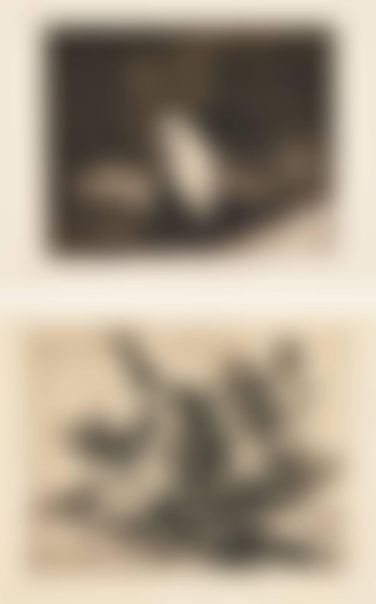 LOS DESASTRES DE LA GUERRA (H. 121-200) (preview)