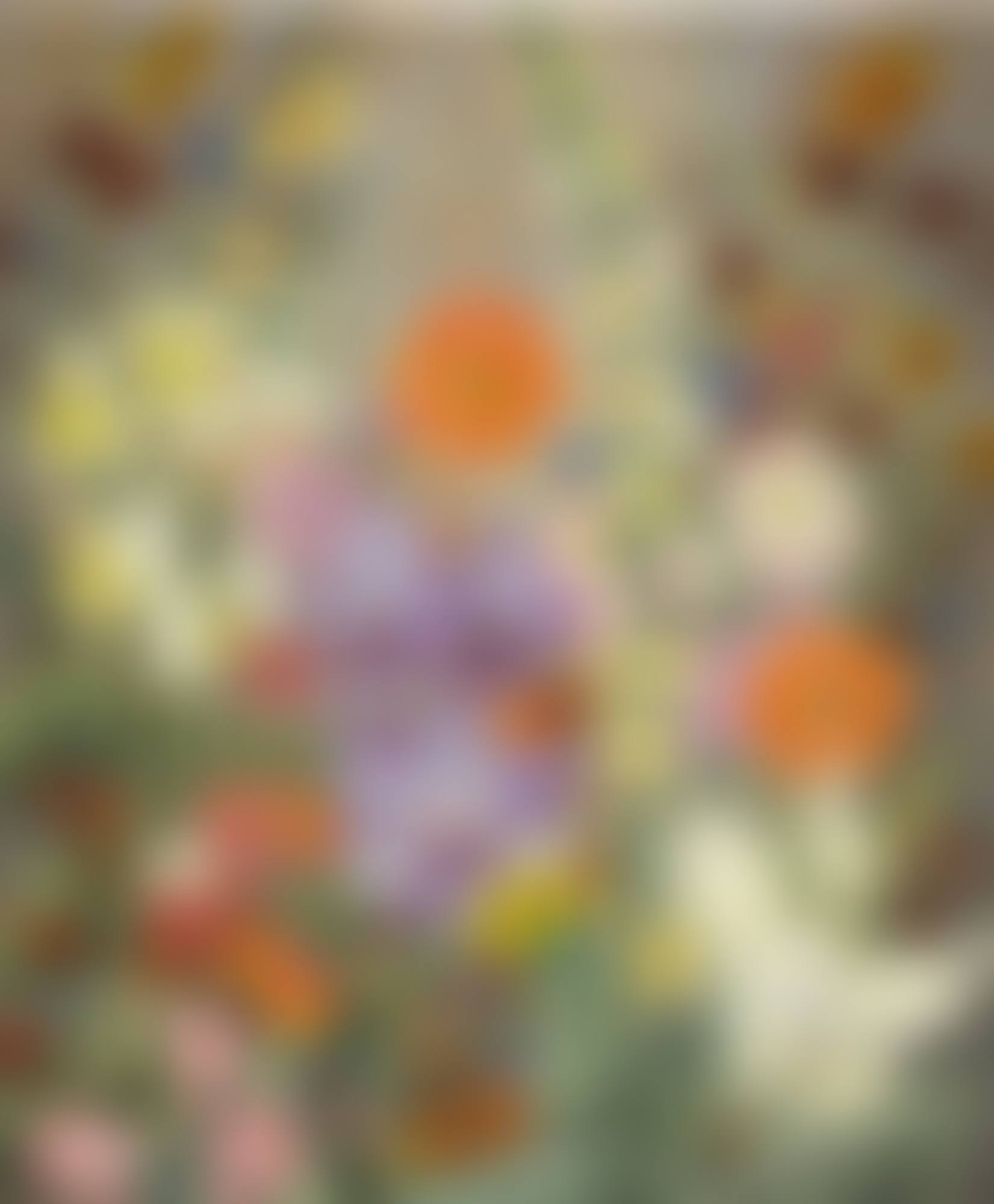 SUMMER FLOWERS IN A LANDSCAPE (preview)