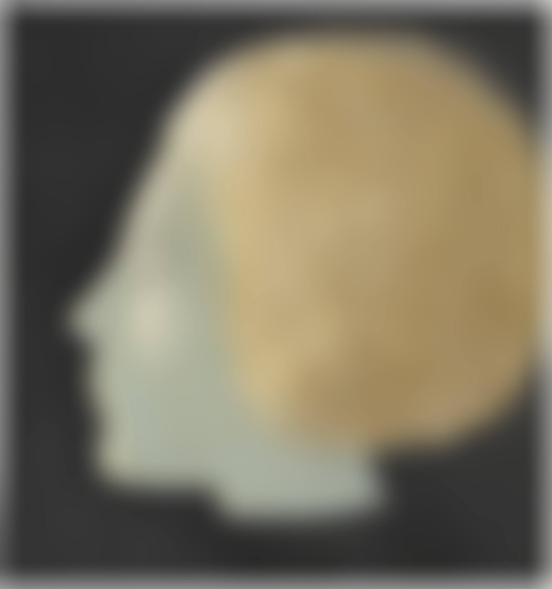 HEAD OF A YOUNG WOMAN (preview)