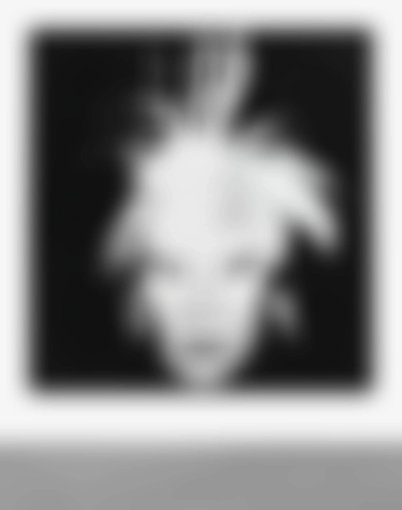 SELF-PORTRAIT (FRIGHT WIG) (preview)