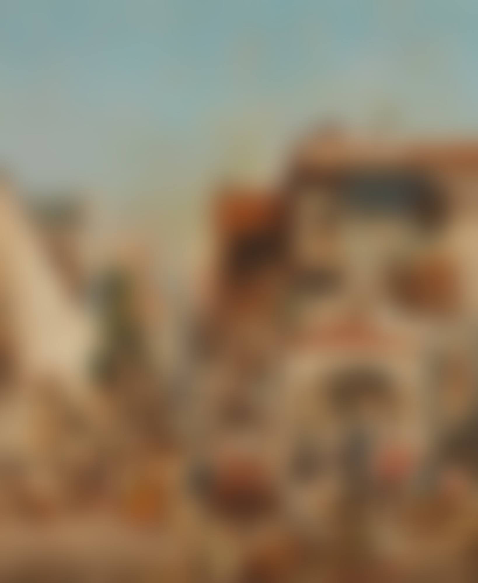 THE VILLAGE MARKET (preview)