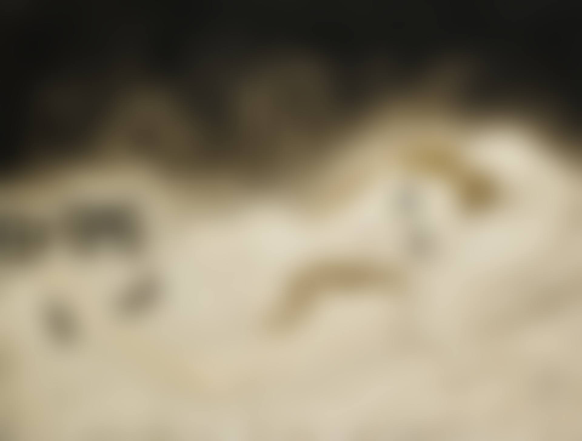 YOUKI AU CHAT (preview)