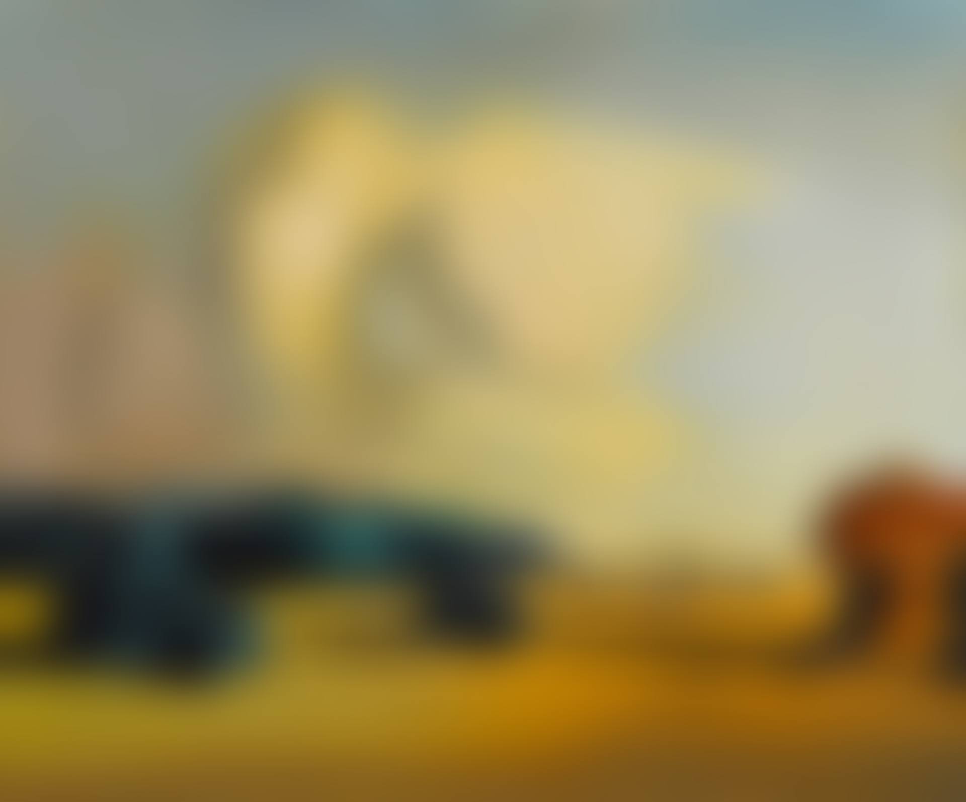 MOMENT DE TRANSITION (preview)