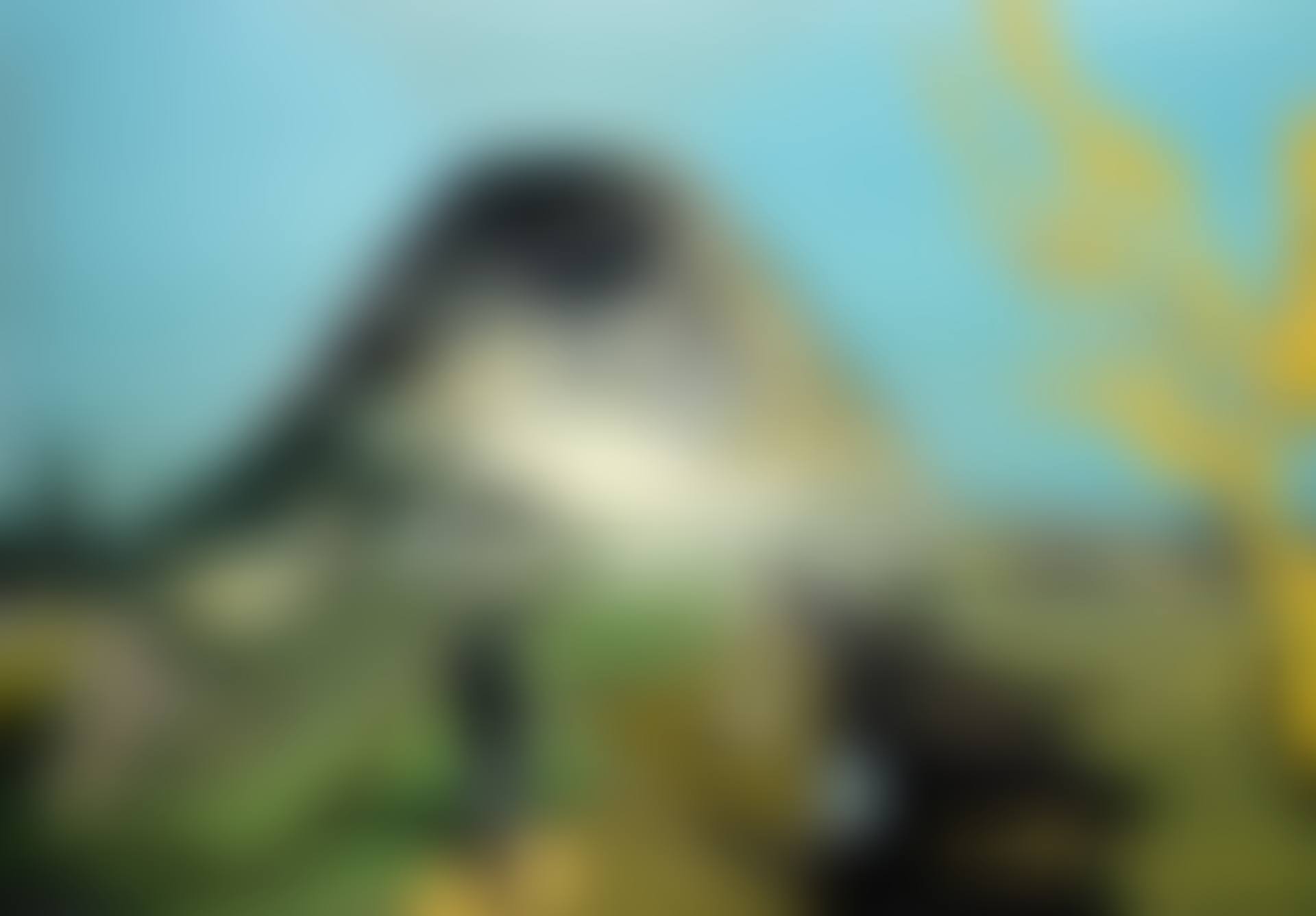 VULKAN (preview)
