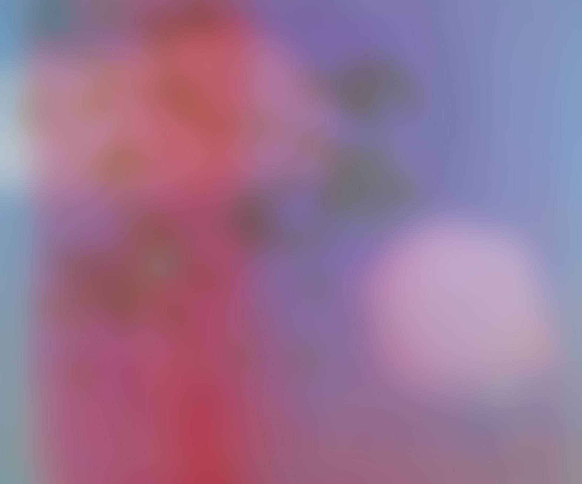 S.P.F. 6 (preview)
