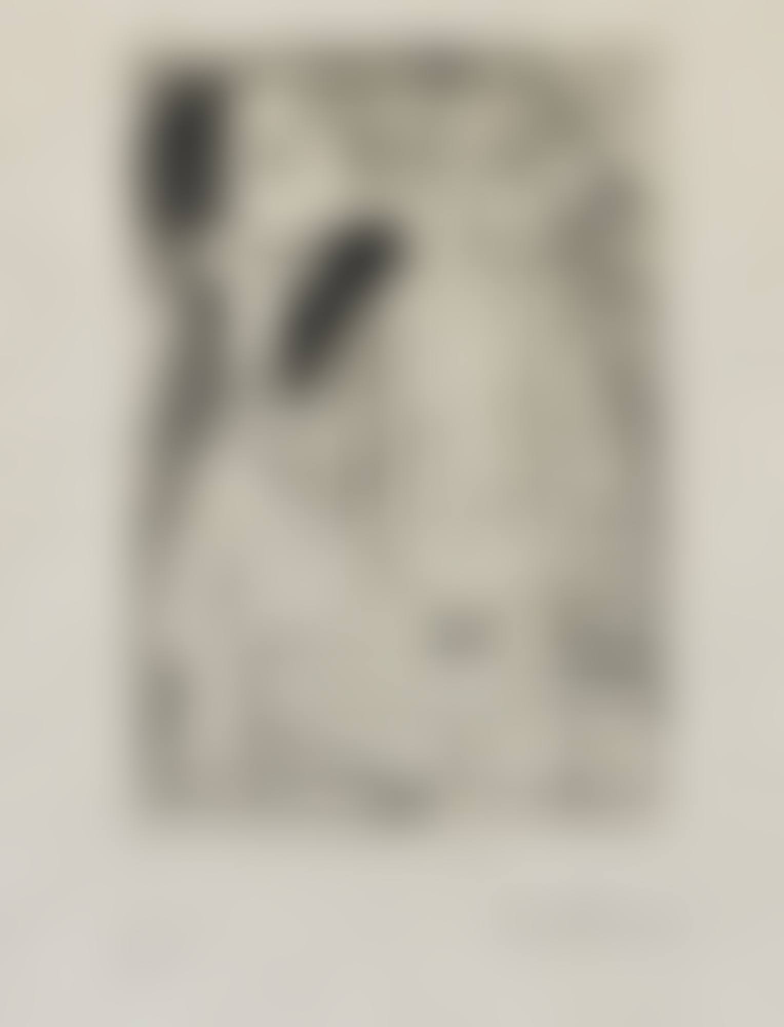 FEMME ASSISE EN TAILLEUR: GENEVIÈVE LAPORTE (B. 1837; BA. 888) (preview)