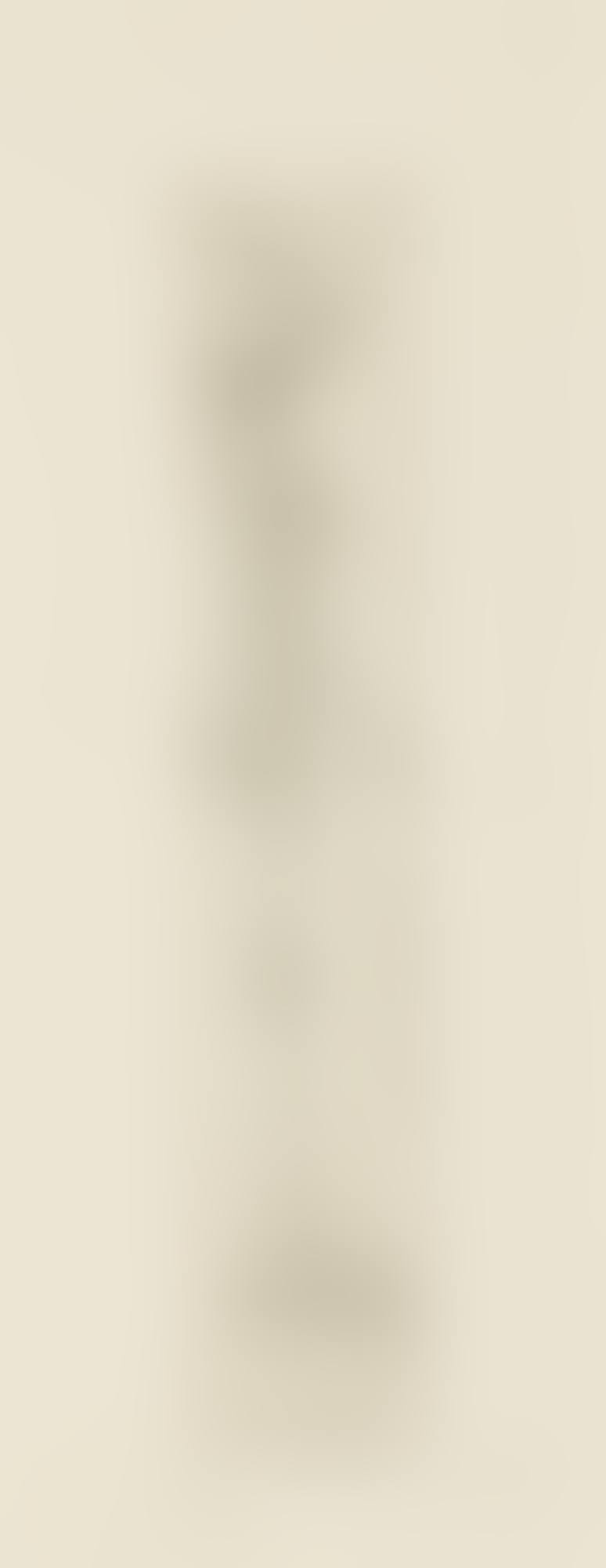 NUDE IN PROFILE (NU DE PROFIL) (LUST 64) (preview)