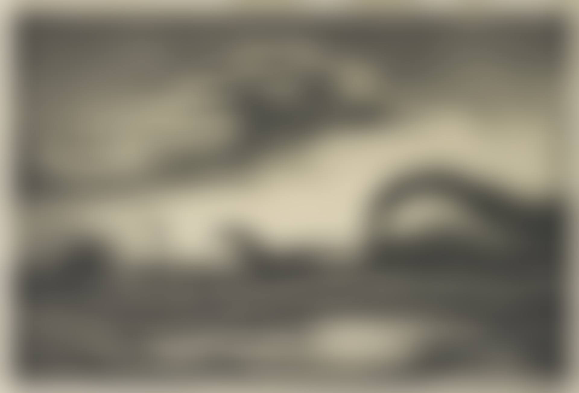 THE RACE (FATH 56) (preview)