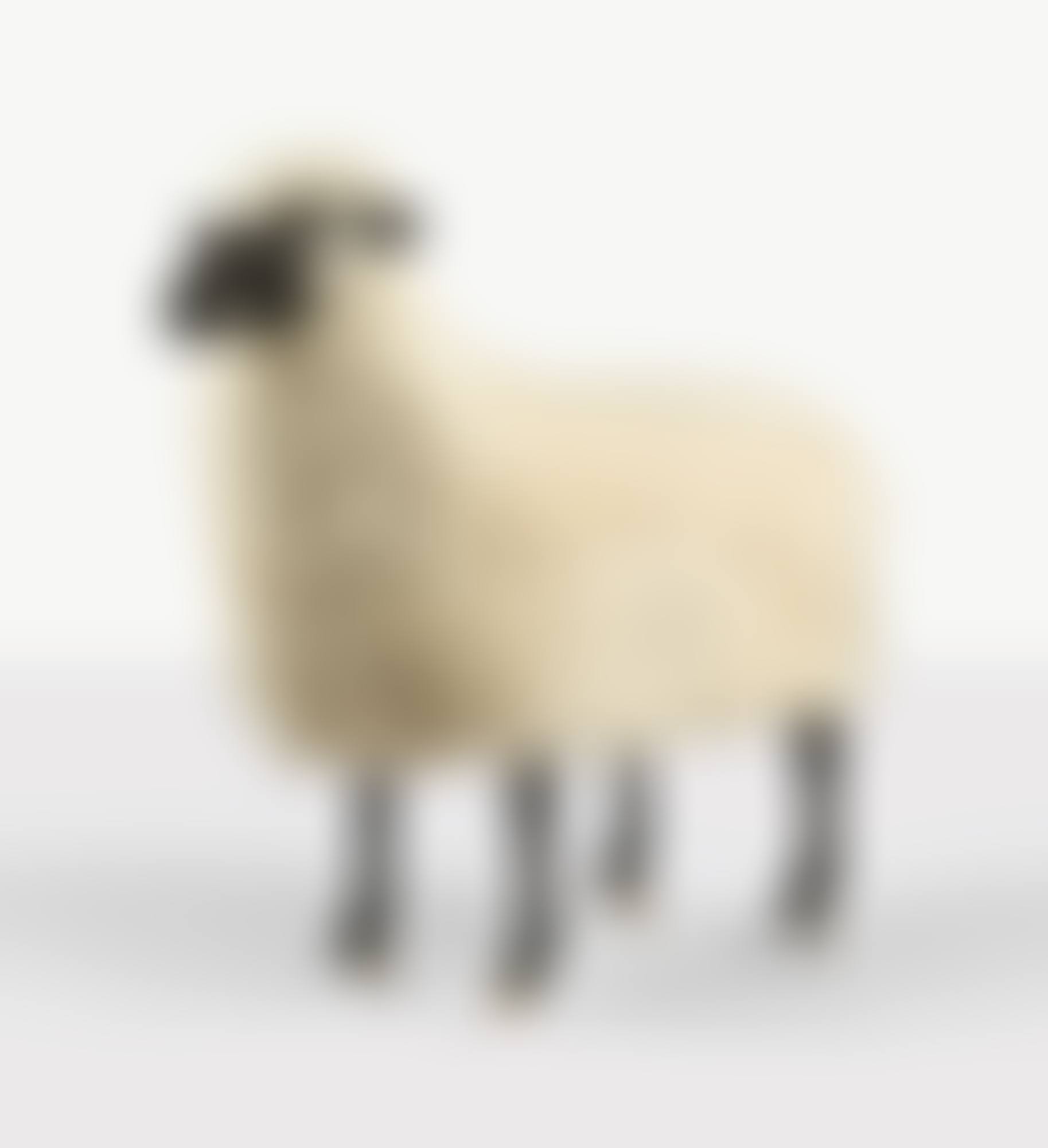 MOUTON DE LAINE (preview)