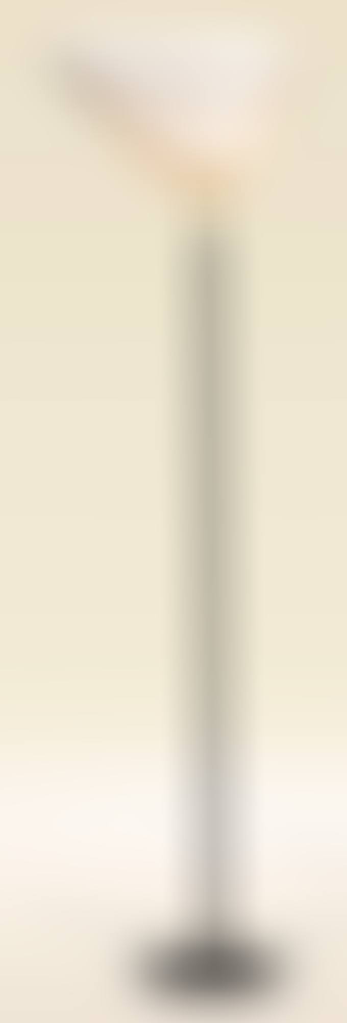 ‘ANGEL’S WING’ FLOOR LAMP, MODEL NO. A 805 (preview)