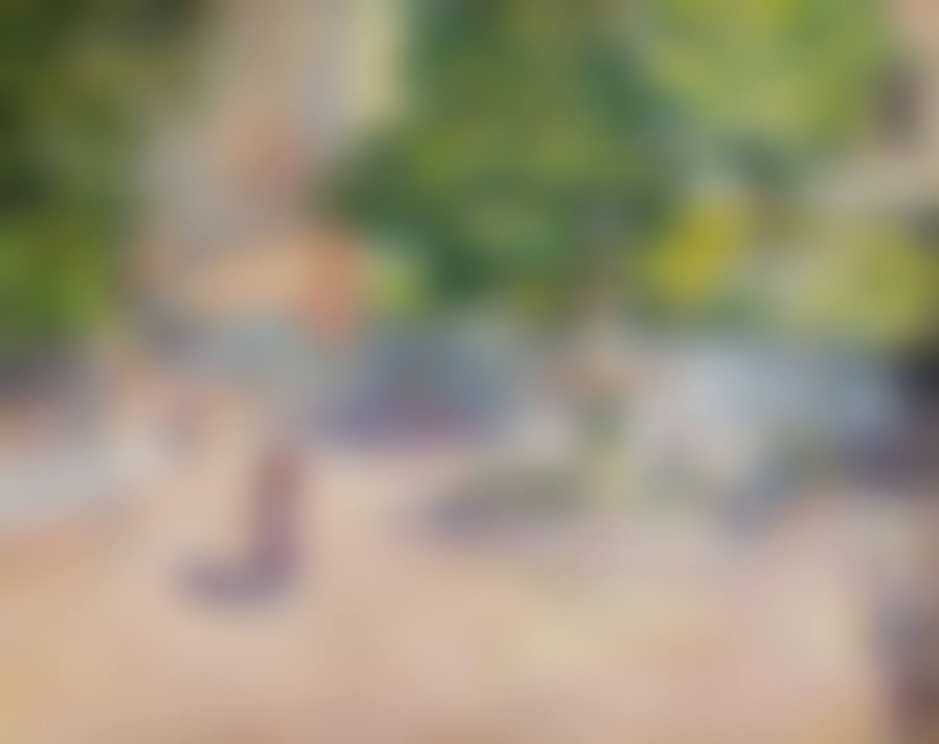 LA PLACE SAINT-GEORGES (preview)