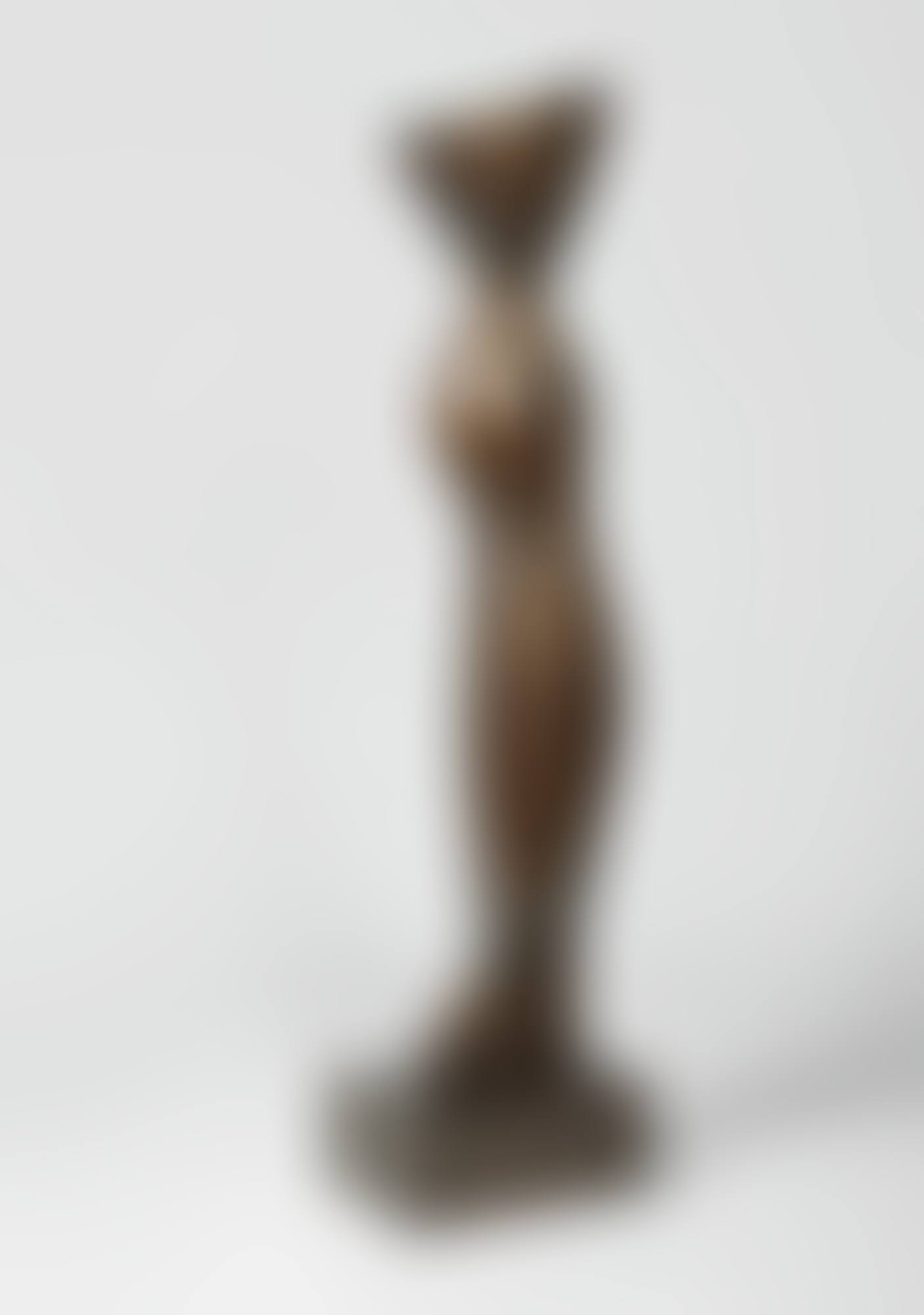 TORSE-VASE (preview)