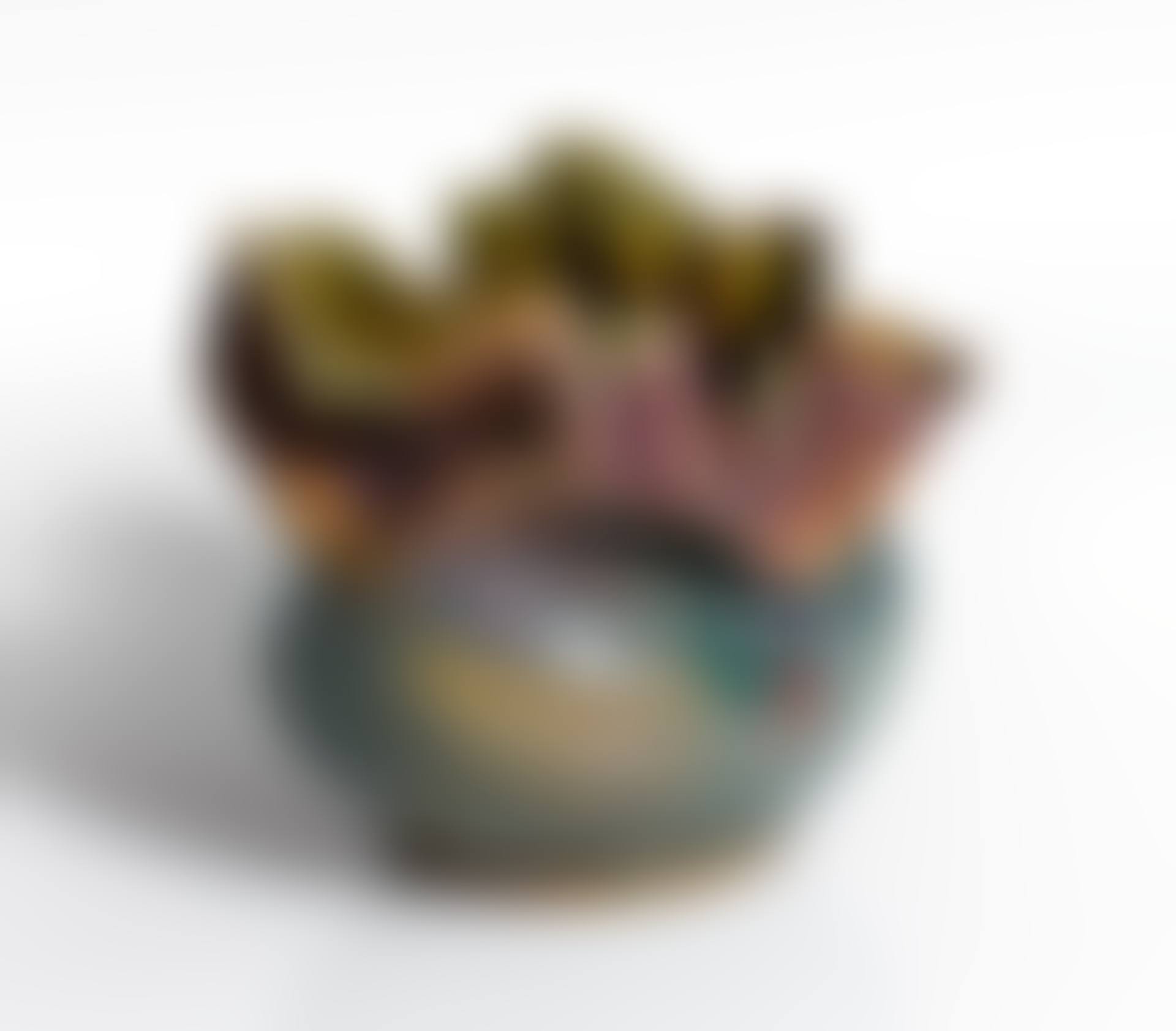 VASE (preview)