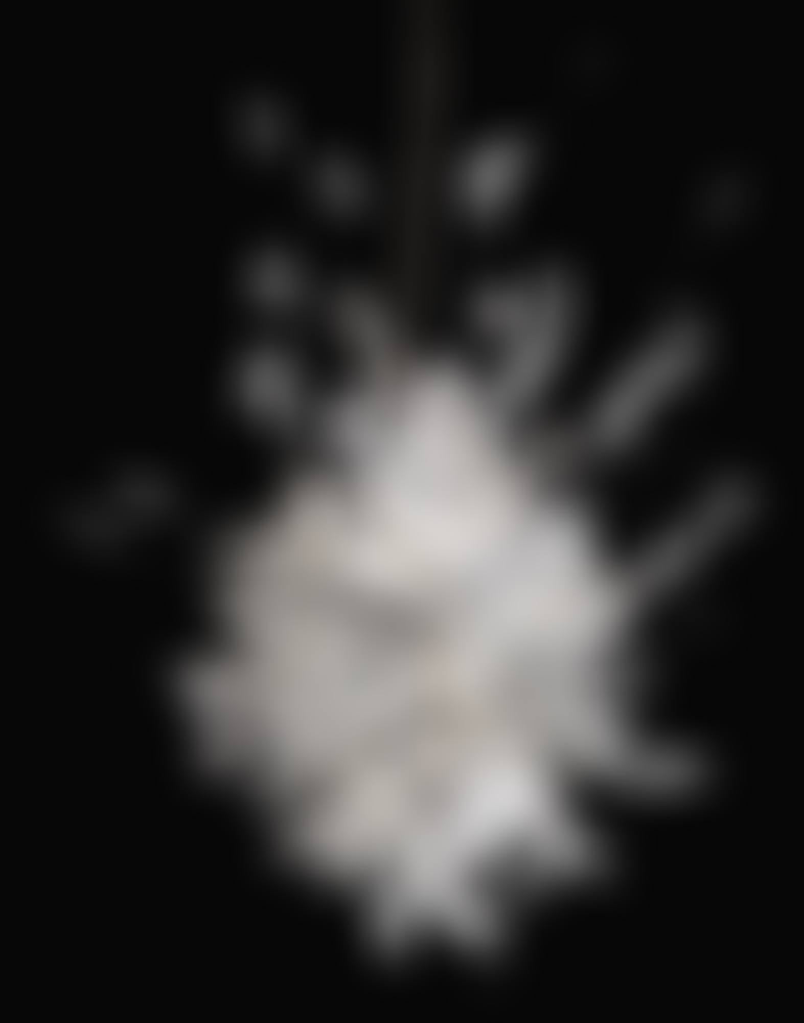 'PORCA MISERIA!' CHANDELIER (preview)