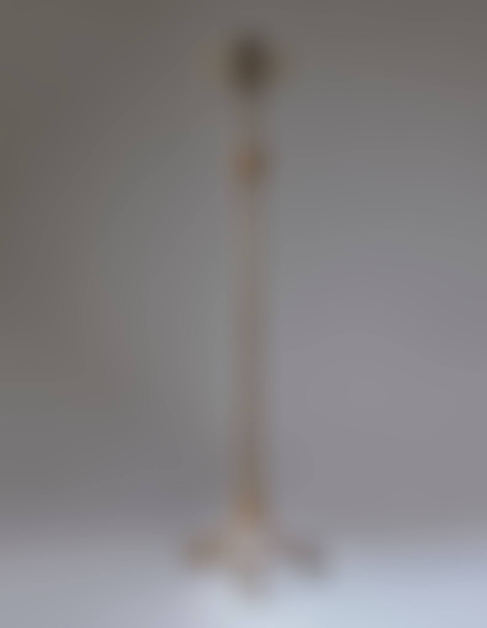 "OSSELET, DEUXIÈME VERSION" FLOOR LAMP (preview)