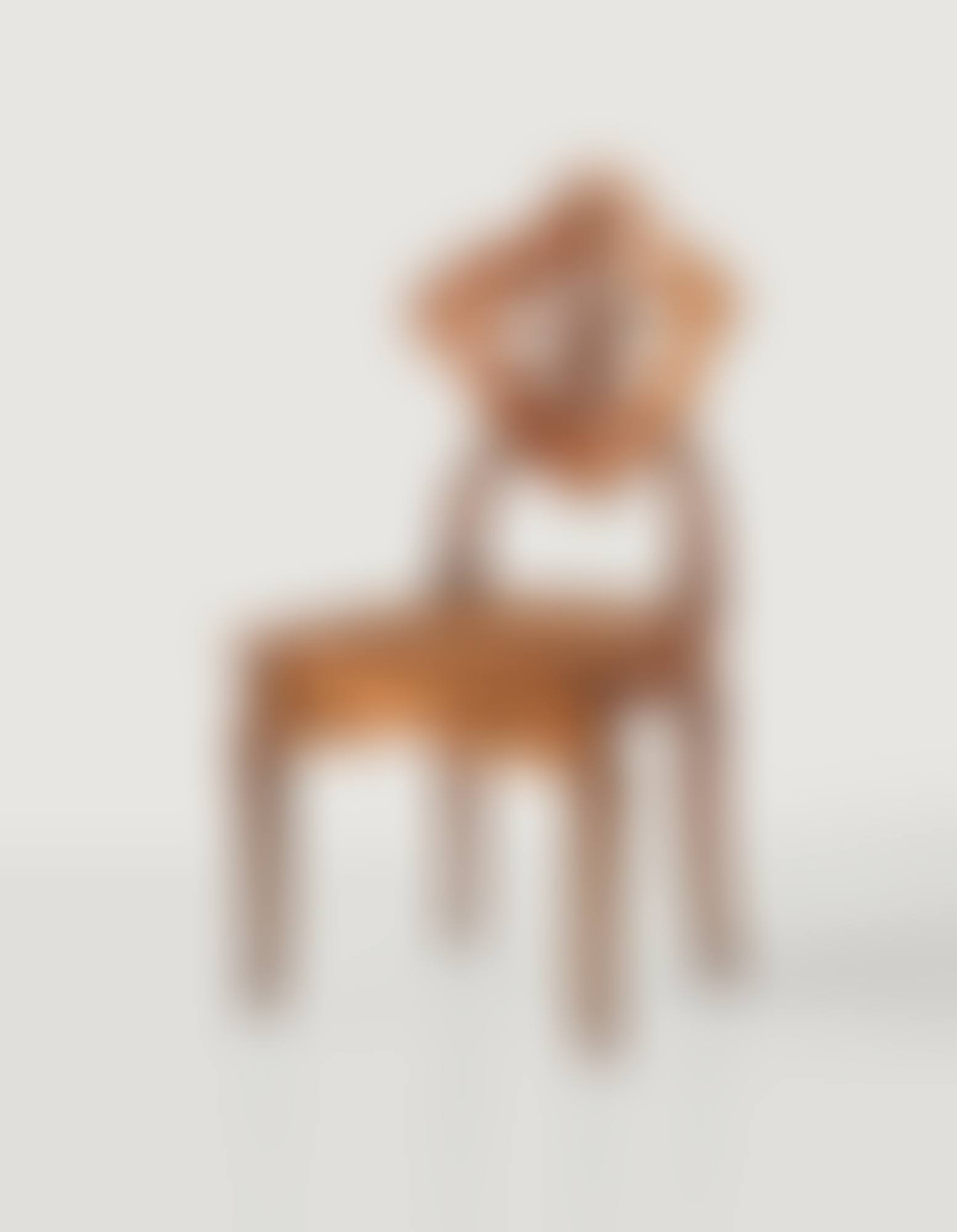 LA BERCE DES PRÉS OR OMBELLES CHAIR (preview)