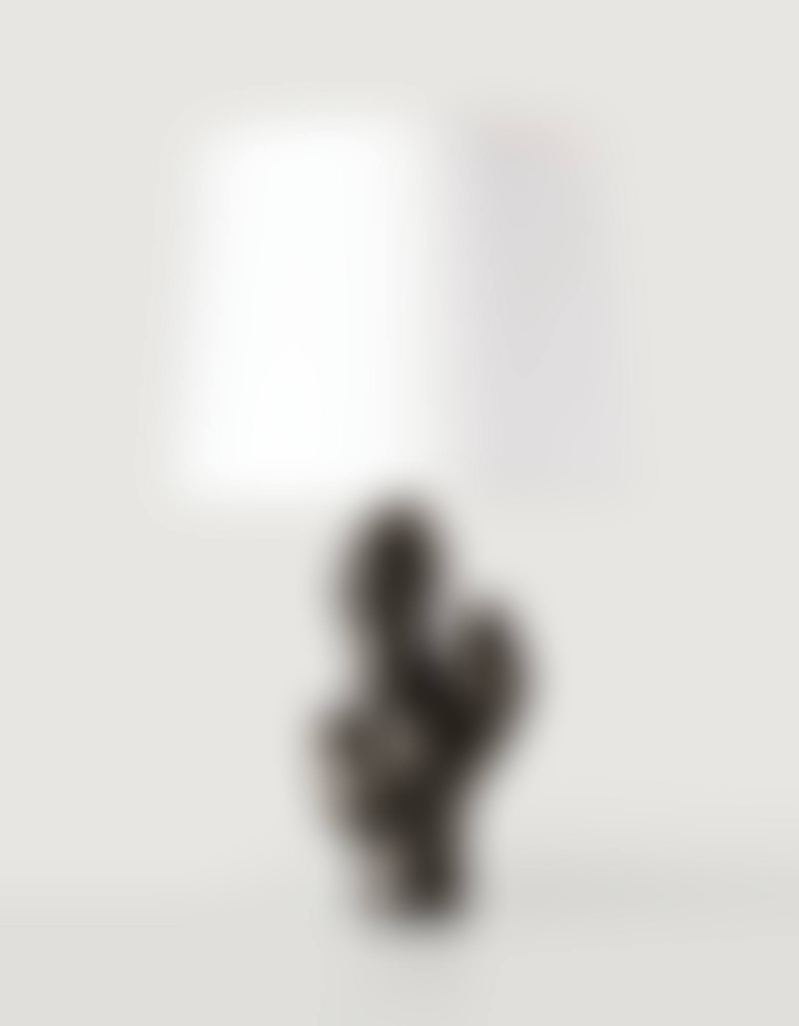CACTUS TABLE LAMP (preview)