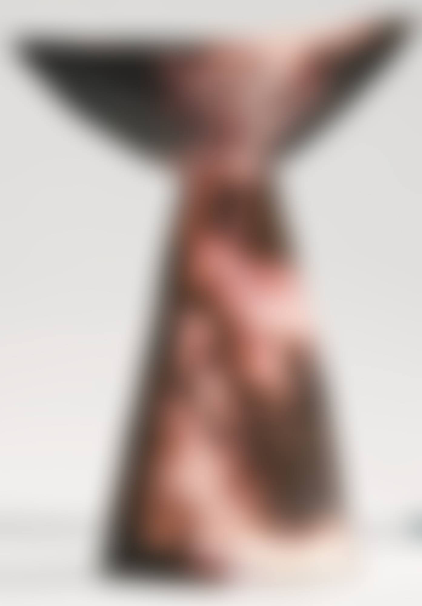 VASO (preview)