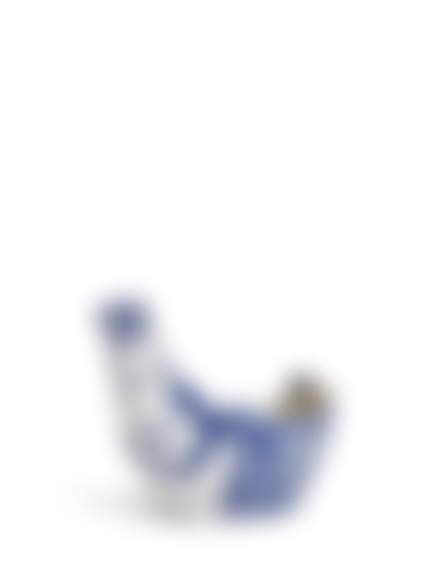 SUJET POULE (A. R. 250) (preview)