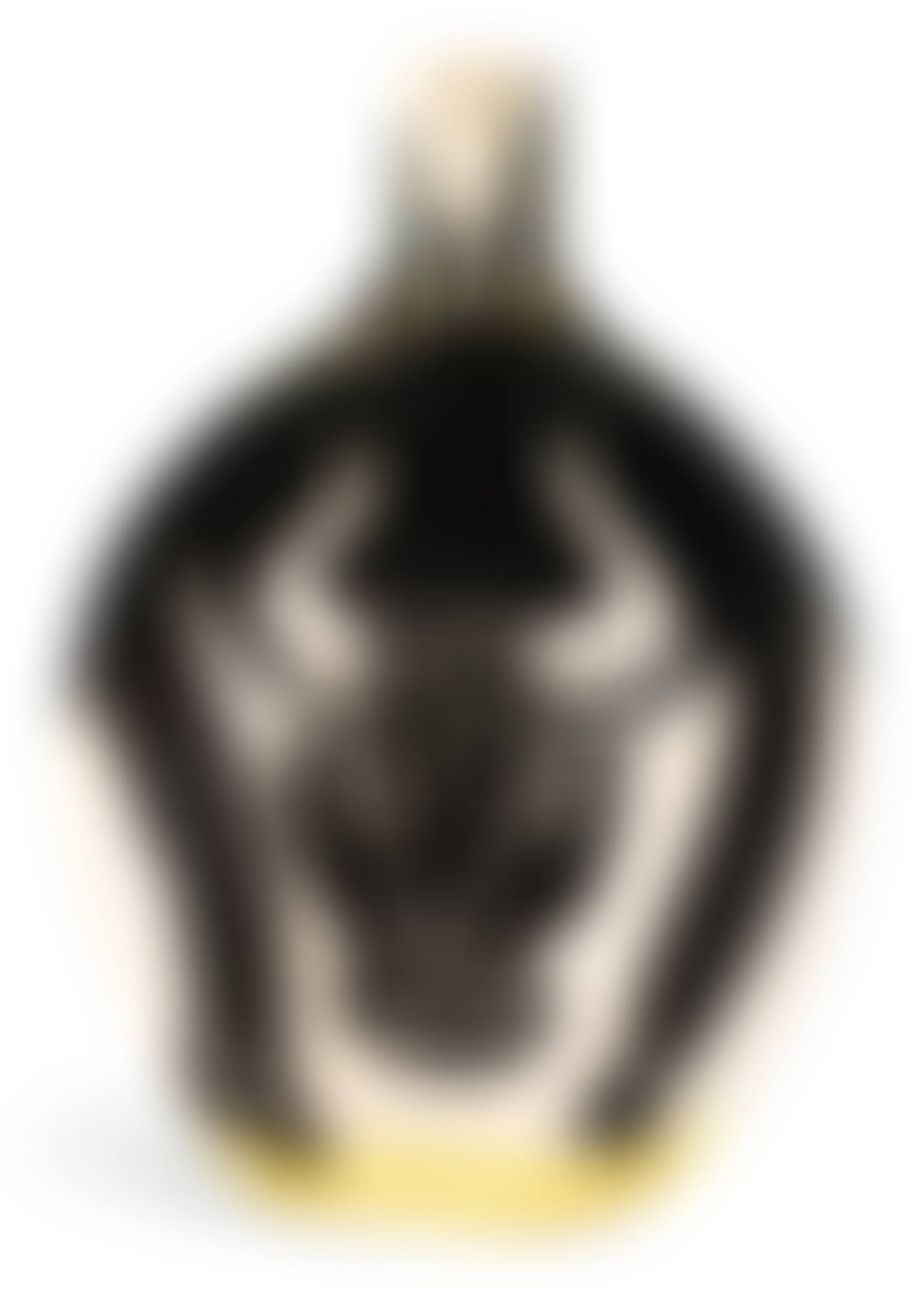 TAUREAU (A. R. 255) (preview)