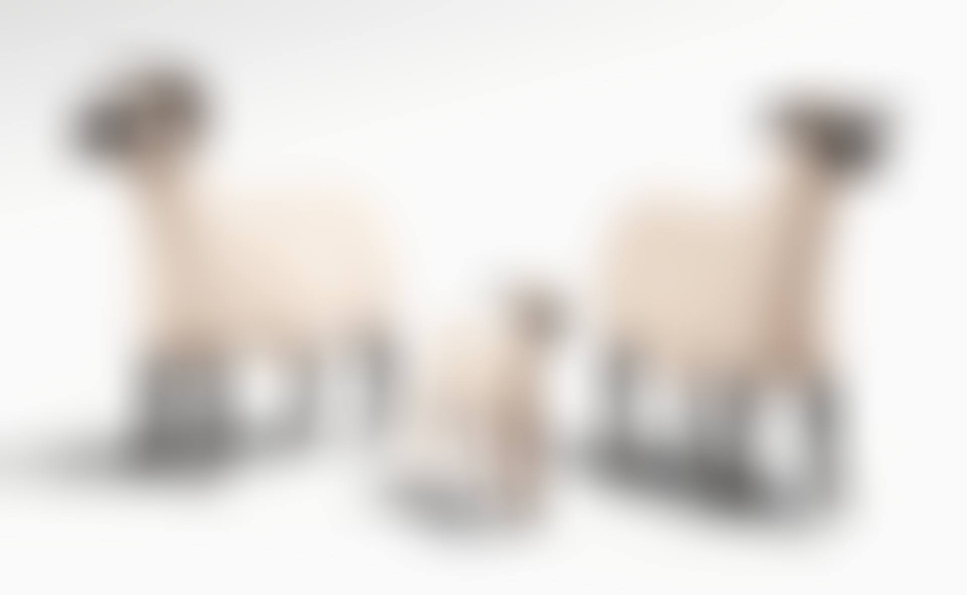 TROUPEAU FROM THE NOUVEAUX MOUTONS SERIES (preview)