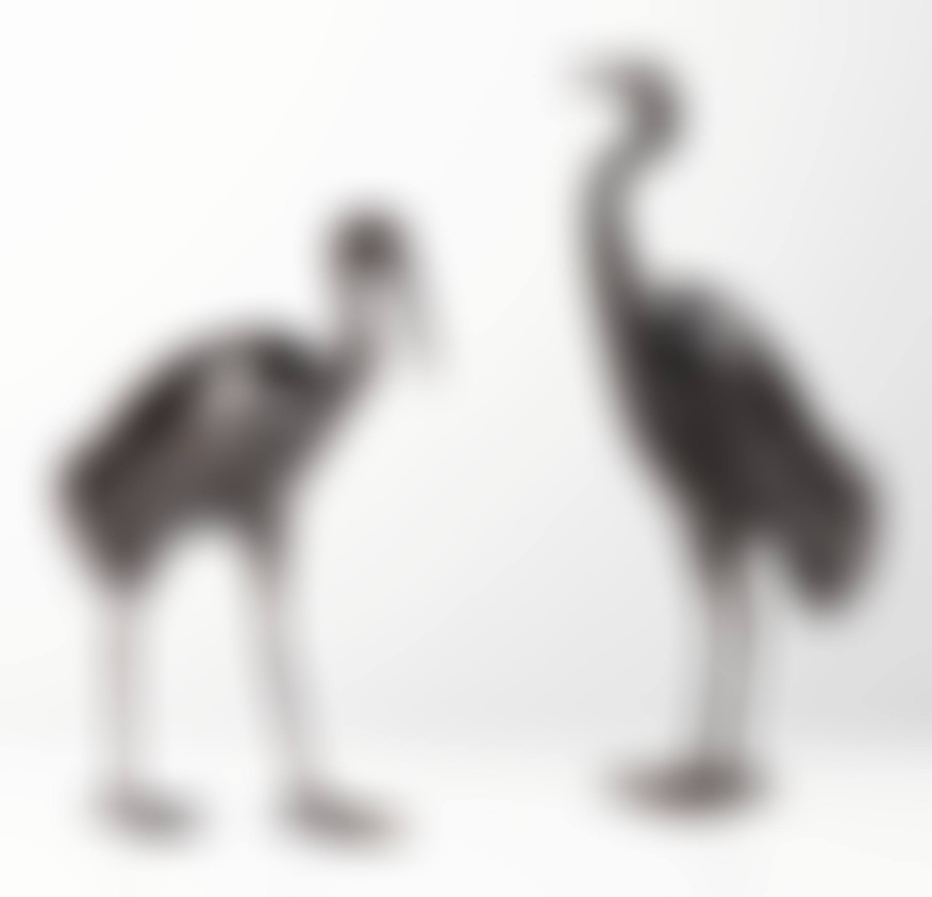 LES DEUX GRUES (preview)