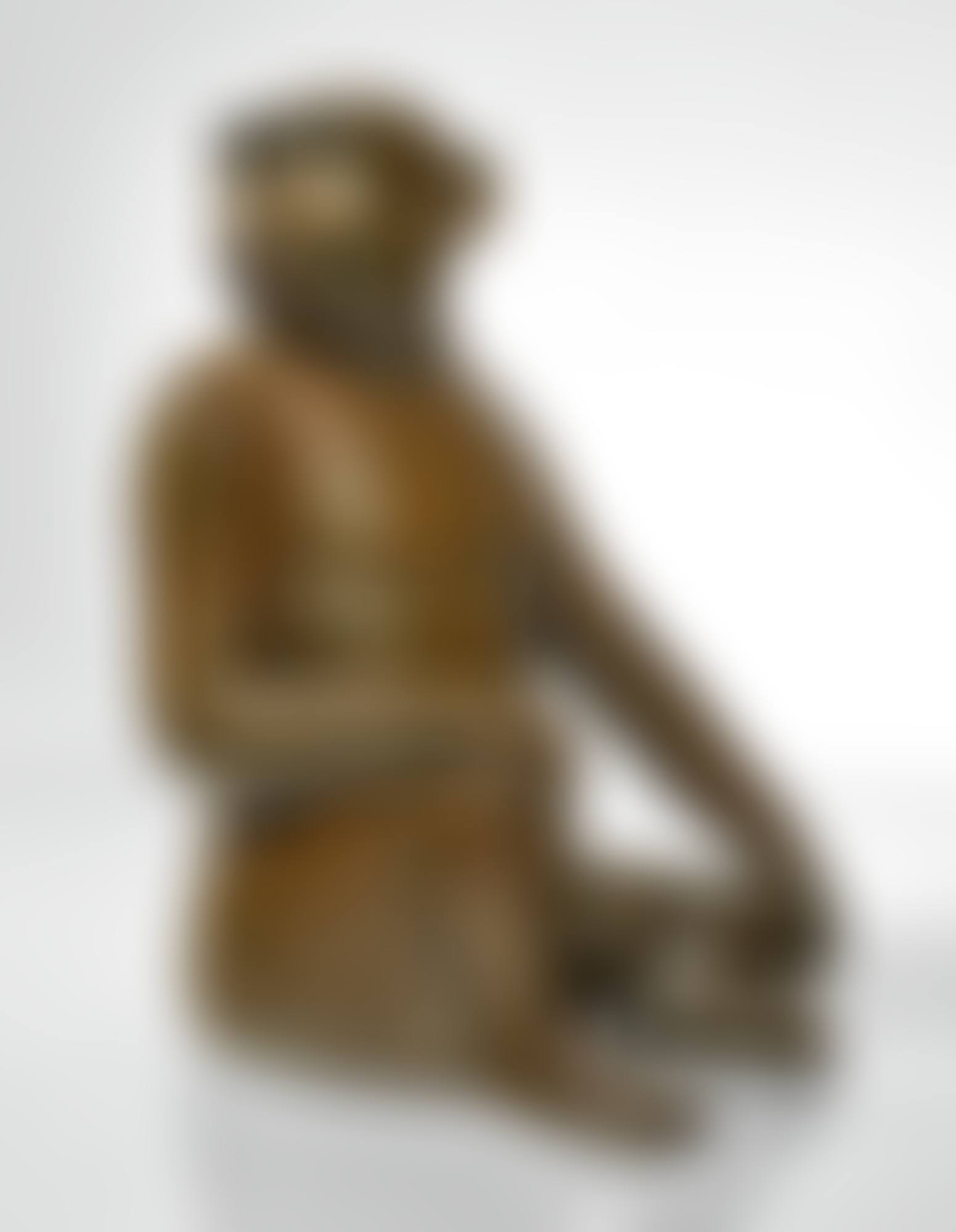 "SINGE AVISÉ (GRAND)" (preview)