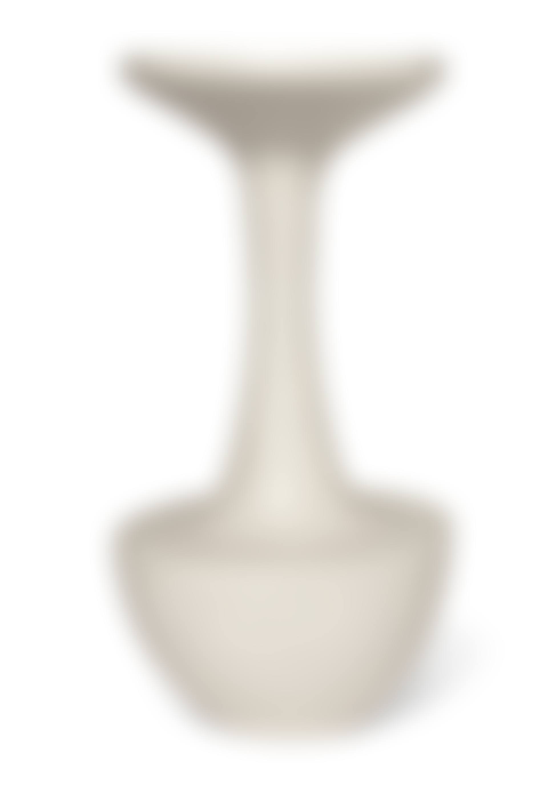 BOTTLE VASE WITH FLARING RIM (preview)