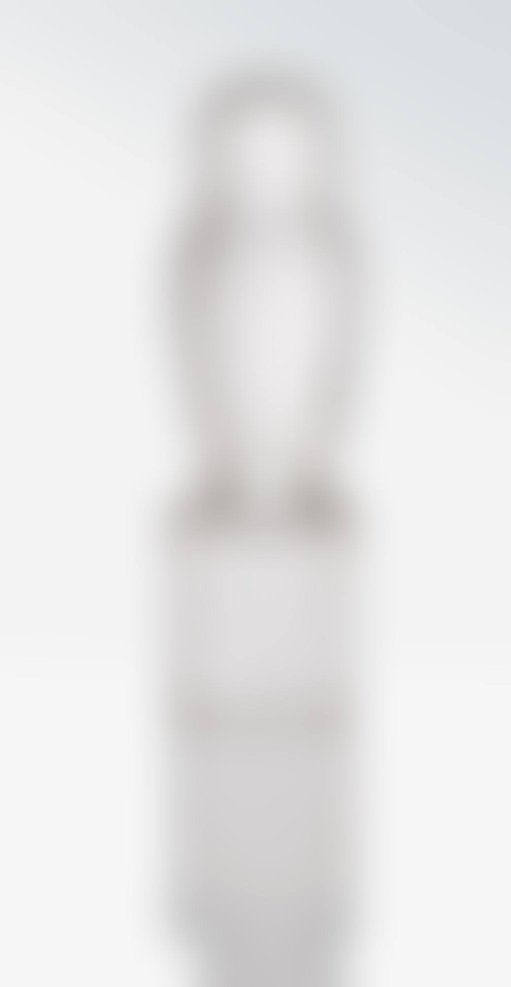 CHOUETTE DE CRISTAL (preview)