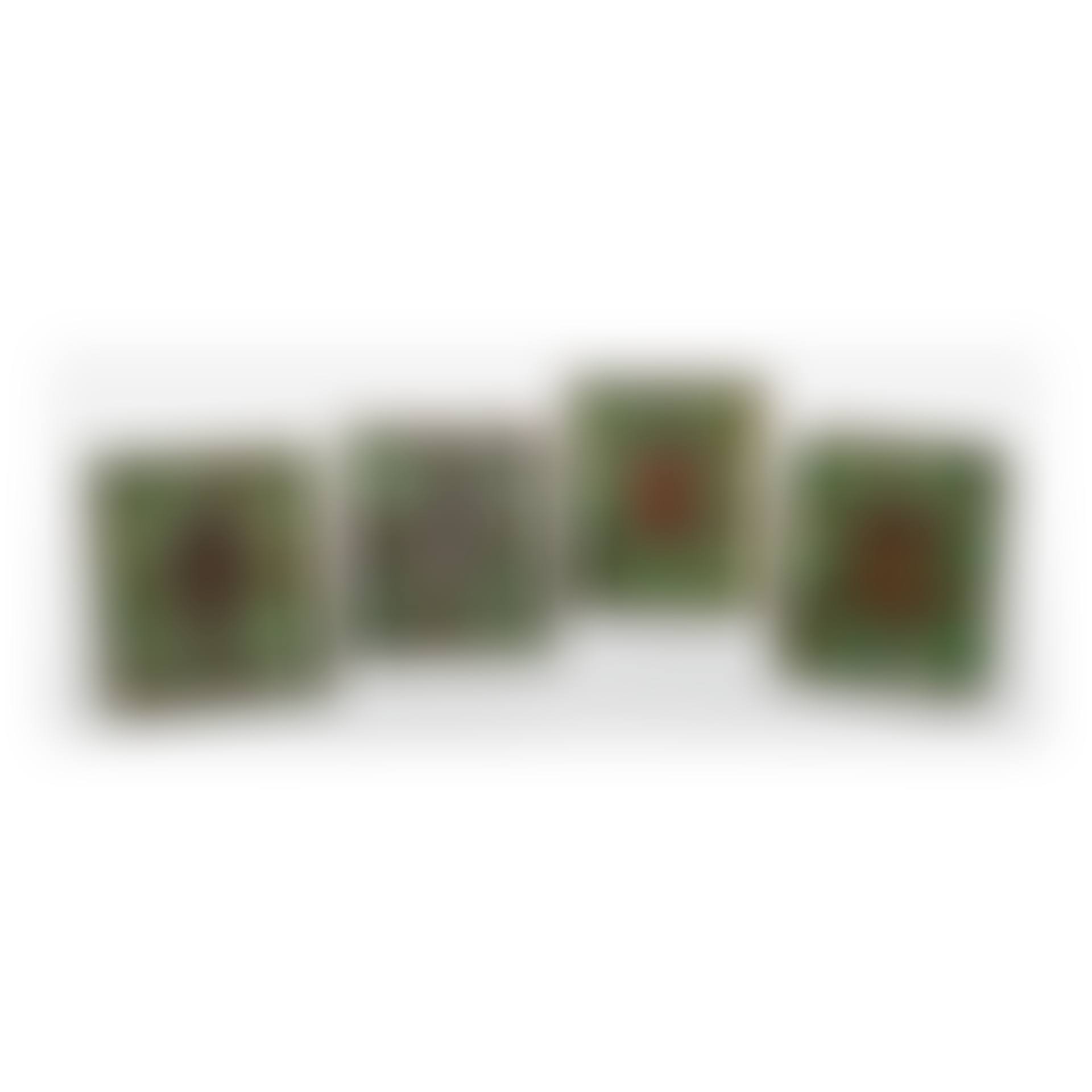 FOUR "GRAPE VINE" PHOTOGRAPH FRAMES (preview)