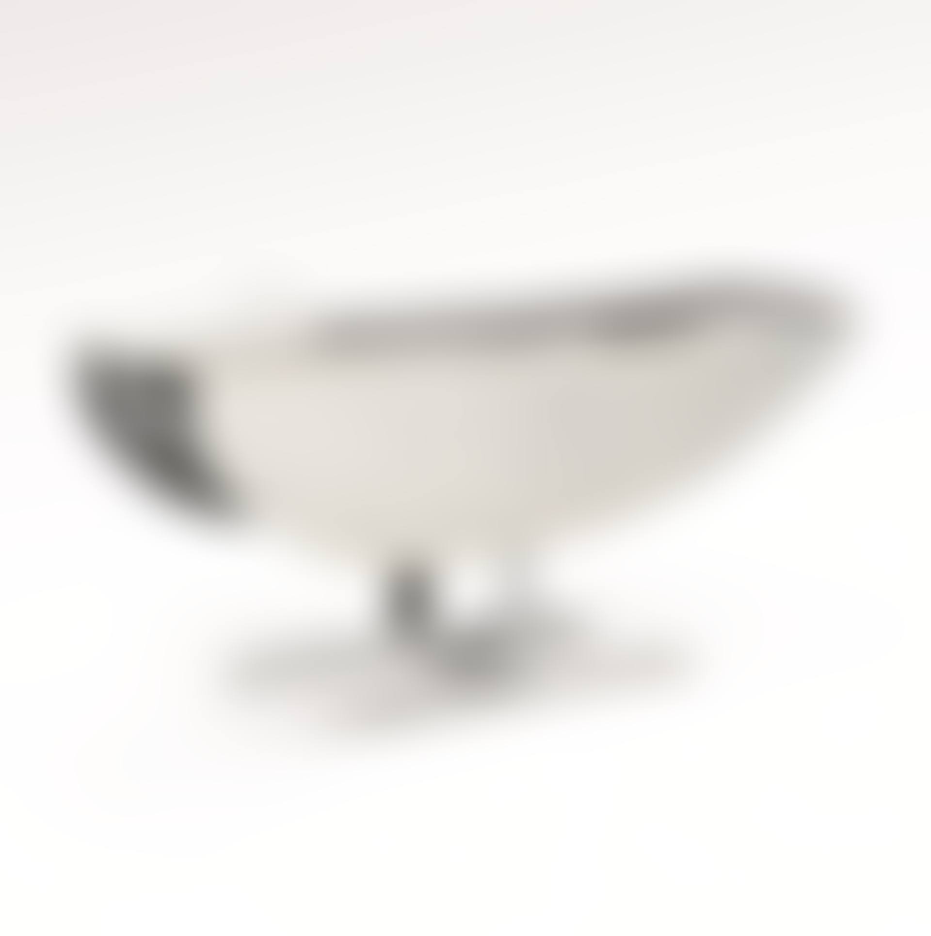OISEAU D'ARGENT OCCASIONAL TABLE (preview)