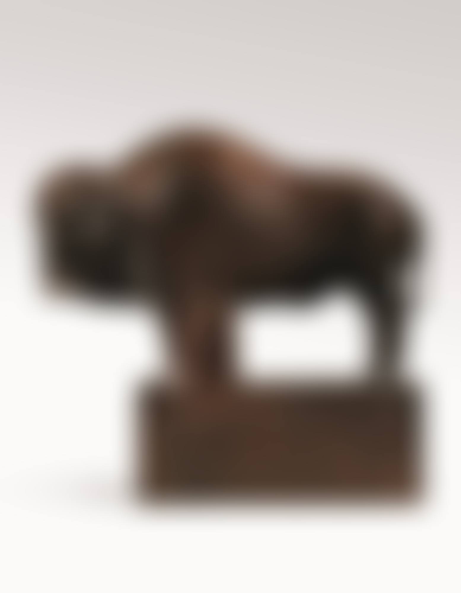 BISON AMÉRICAIN (preview)