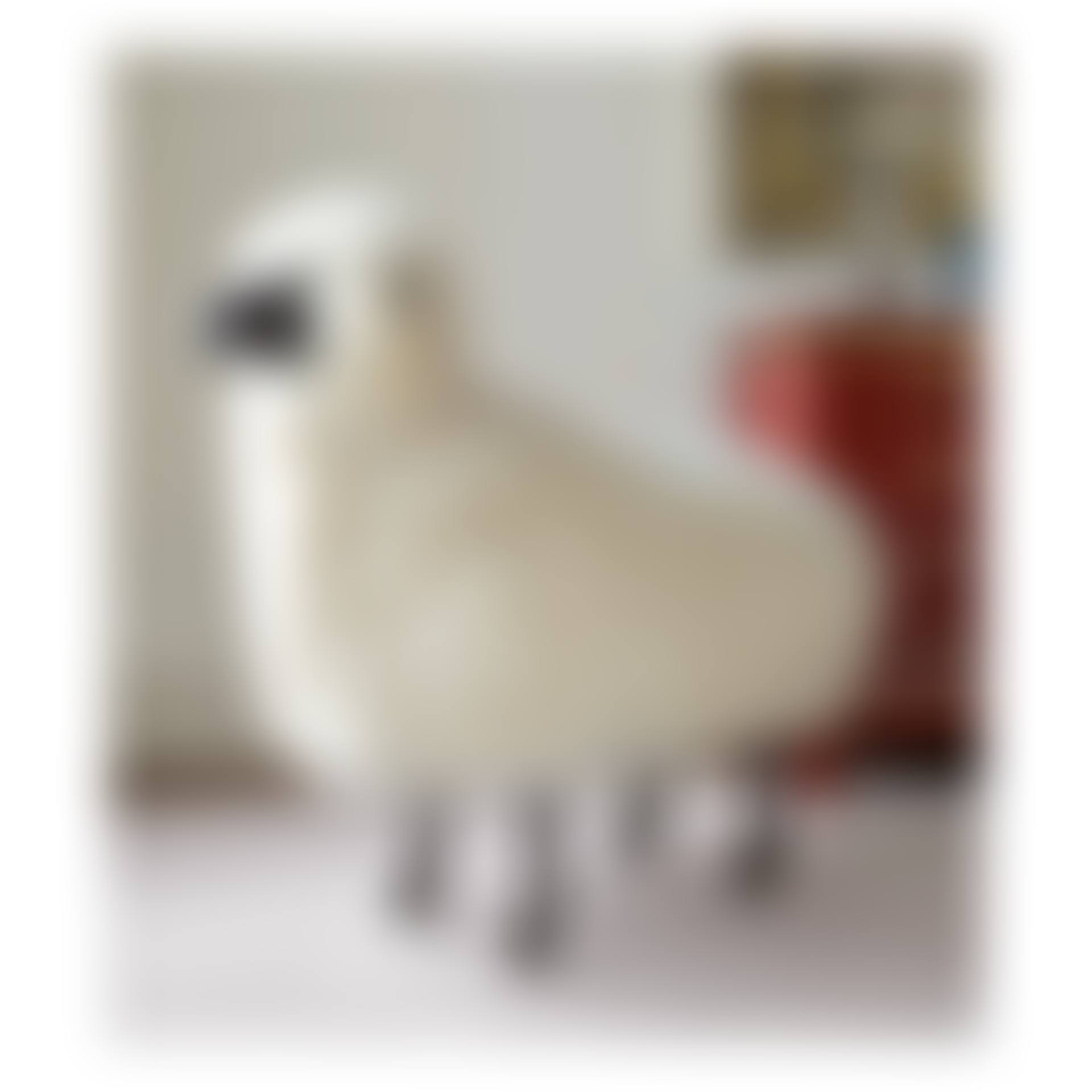 "MOUTON DE LAINE" (preview)