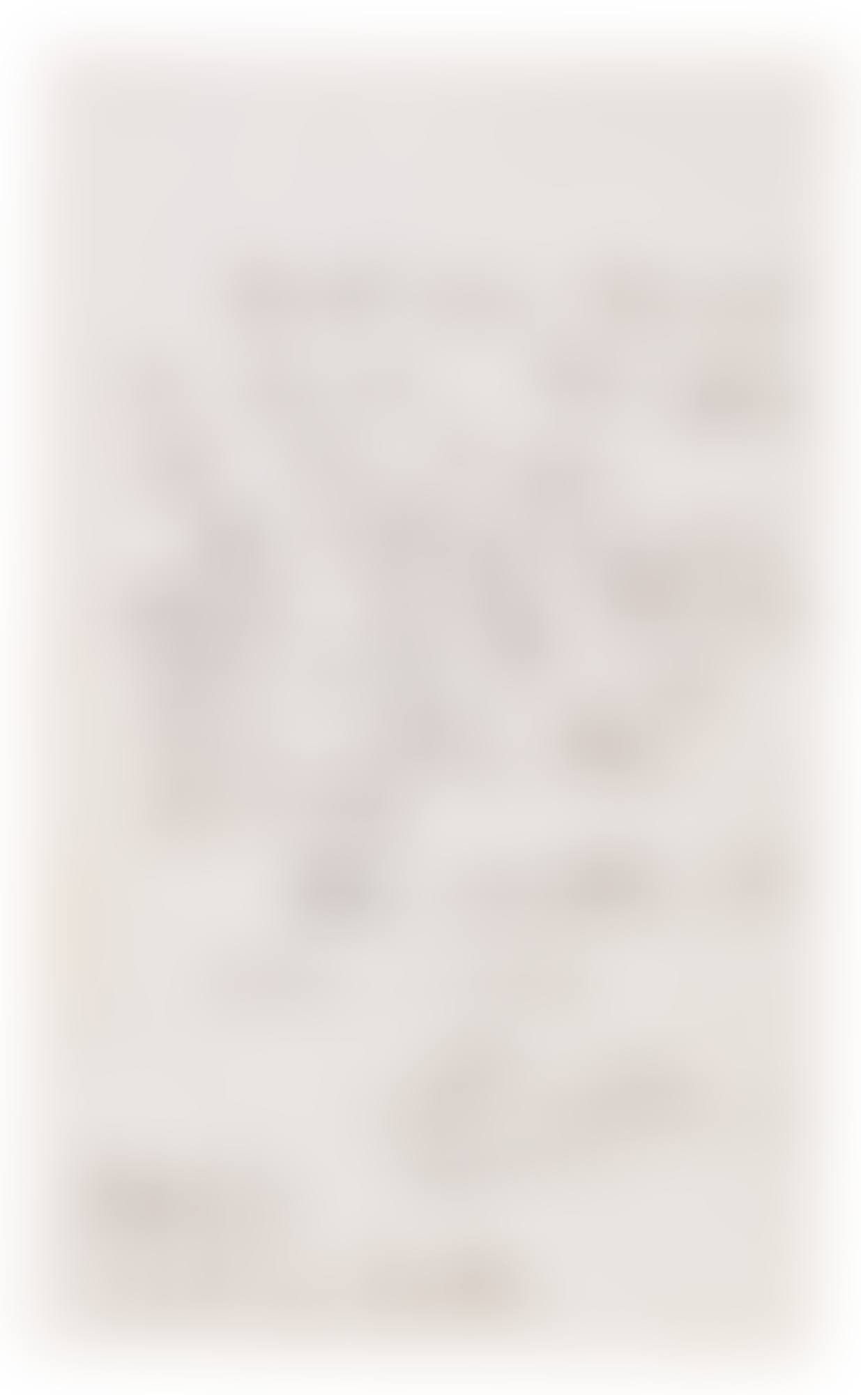 LETTER FROM PICASSO TO POLUNIN (preview)