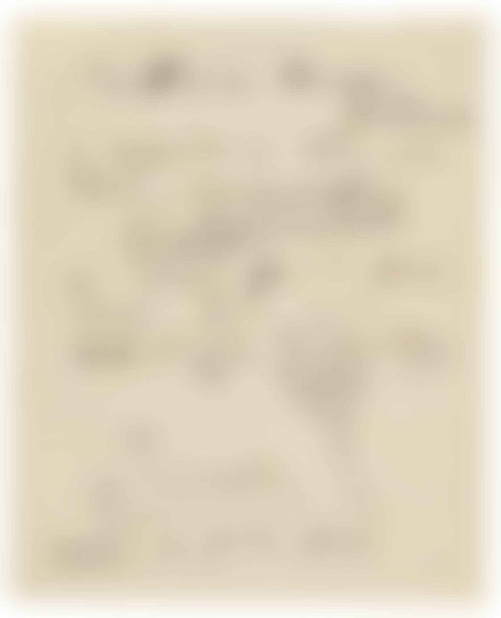 NOTE FROM PICASSO TO POLUNIN (preview)